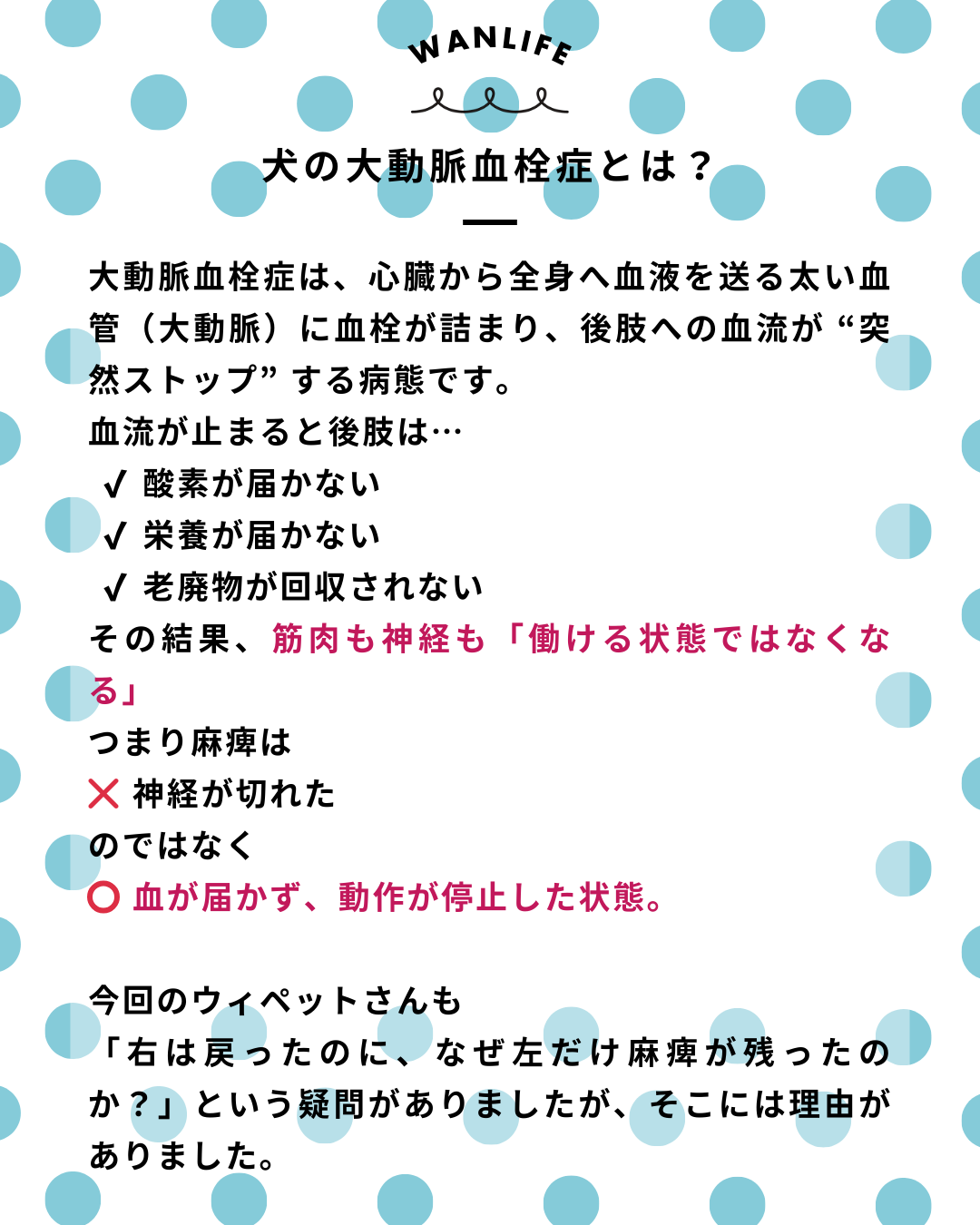 わんわん整体WanLife｜愛知・岐阜の犬の整体・メディセル筋膜リリース・オベロンアニマルスキャン・ネオヒーラー・温灸・食事療法・歩けるくん｜