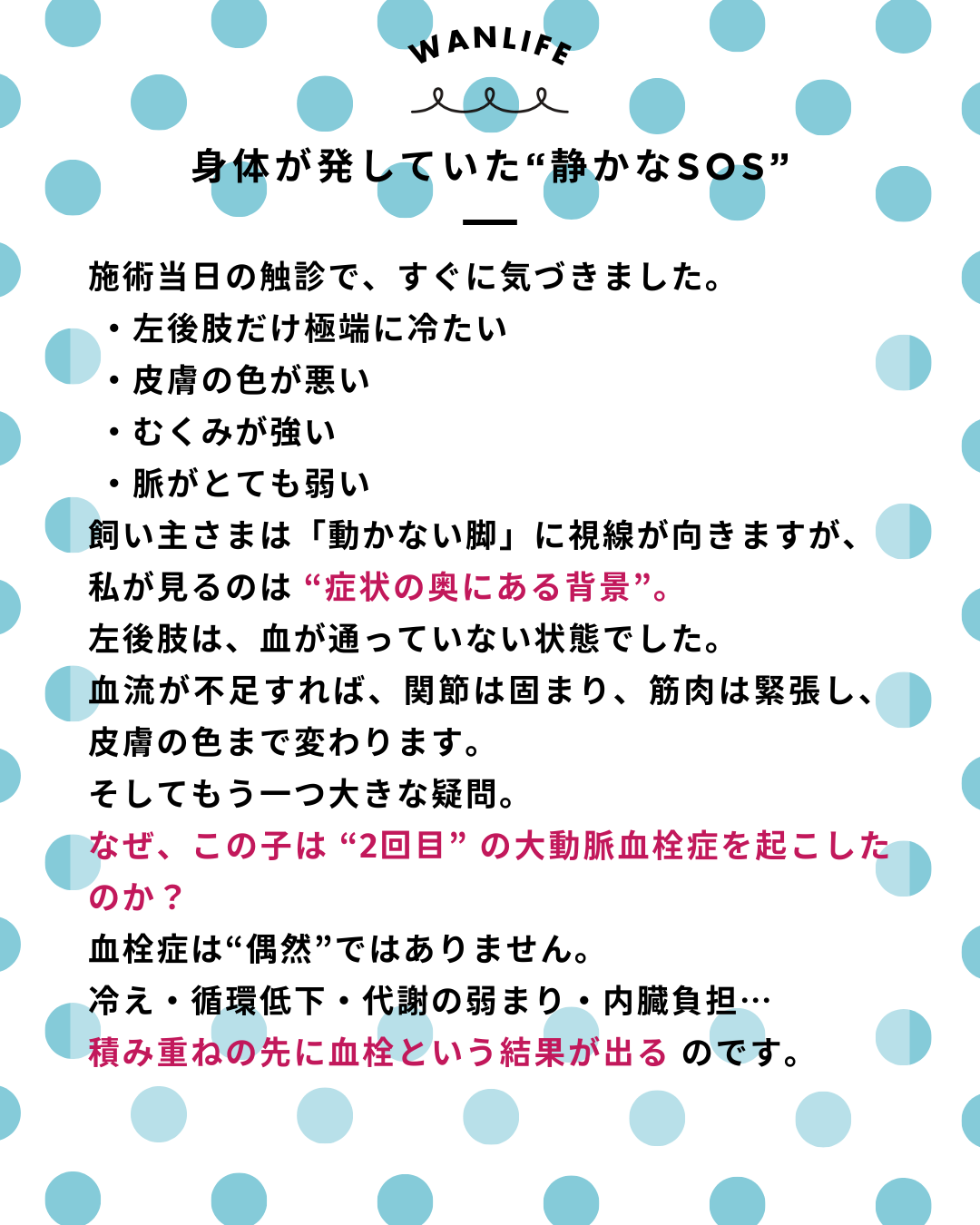 わんわん整体WanLife｜愛知・岐阜の犬の整体・メディセル筋膜リリース・オベロンアニマルスキャン・ネオヒーラー・温灸・食事療法・歩けるくん｜