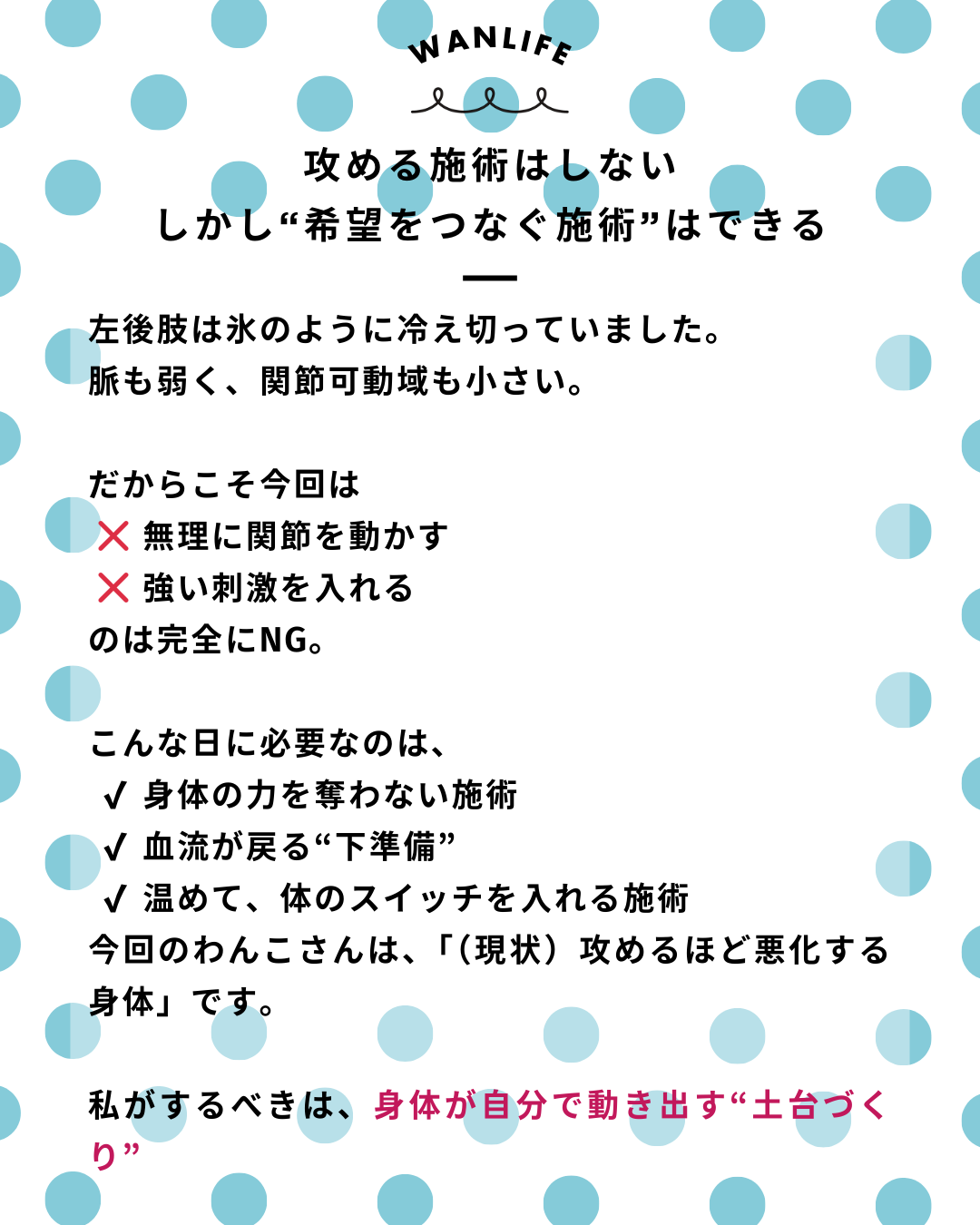 わんわん整体WanLife｜愛知・岐阜の犬の整体・メディセル筋膜リリース・オベロンアニマルスキャン・ネオヒーラー・温灸・食事療法・歩けるくん｜