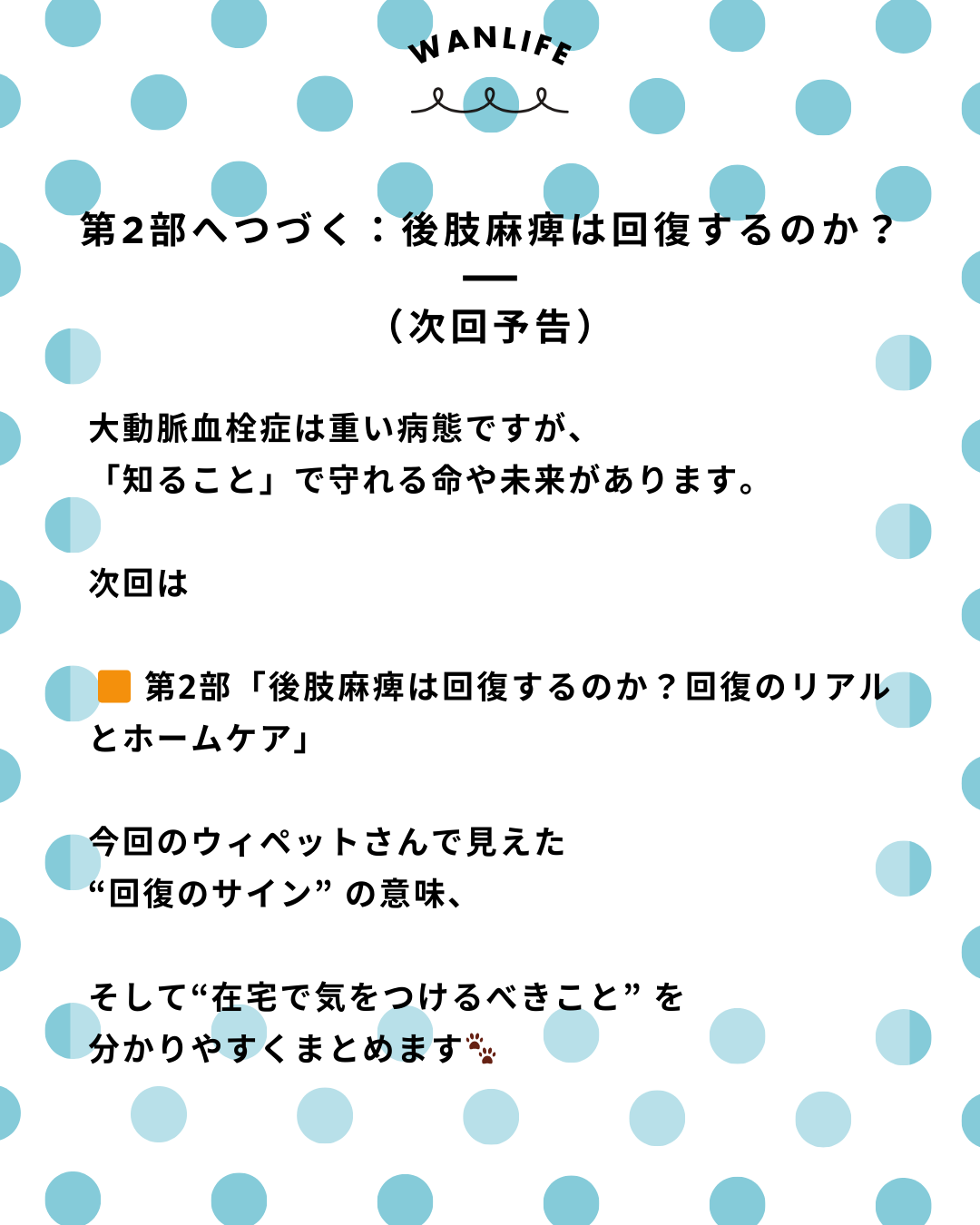 わんわん整体WanLife｜愛知・岐阜の犬の整体・メディセル筋膜リリース・オベロンアニマルスキャン・ネオヒーラー・温灸・食事療法・歩けるくん｜