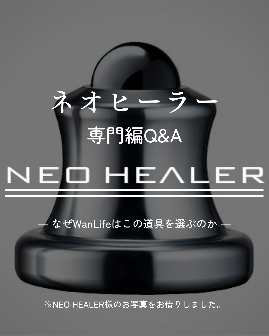 わんわん整体WanLife｜愛知・岐阜の犬の整体・メディセル筋膜リリース・オベロンアニマルスキャン・ネオヒーラー・歩けるくん・温灸・食事療法｜