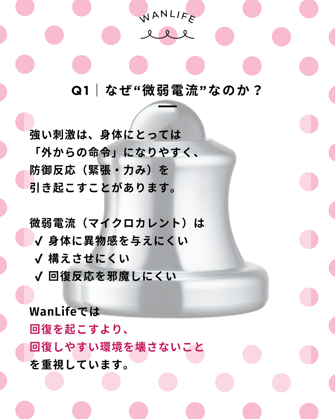 わんわん整体WanLife｜愛知・岐阜の犬の整体・メディセル筋膜リリース・オベロンアニマルスキャン・ネオヒーラー・歩けるくん・温灸・食事療法｜