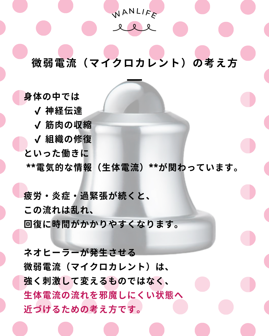 わんわん整体WanLife|愛知・岐阜の犬の整体・メディセル筋膜リリース・オベロンアニマルスキャン・ネオヒーラー・歩けるくん・温灸・食事療法|