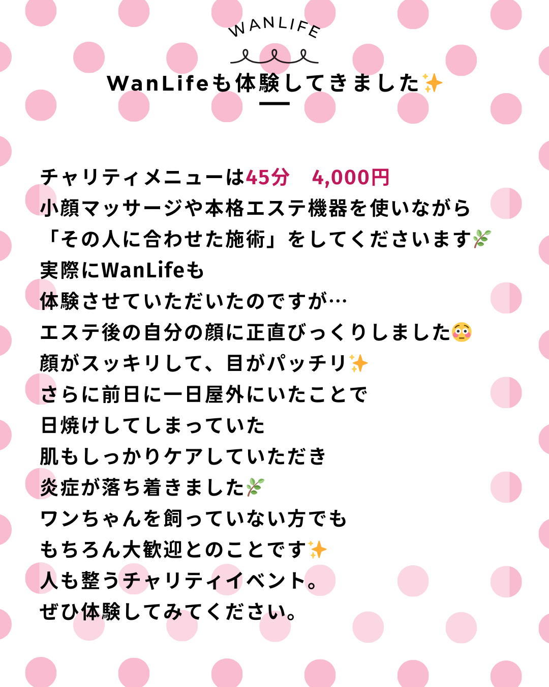 わんわん整体WanLife|愛知・岐阜の犬の整体・メディセル筋膜リリース・オベロンアニマルスキャン・ネオヒーラー・温灸・食事療法|