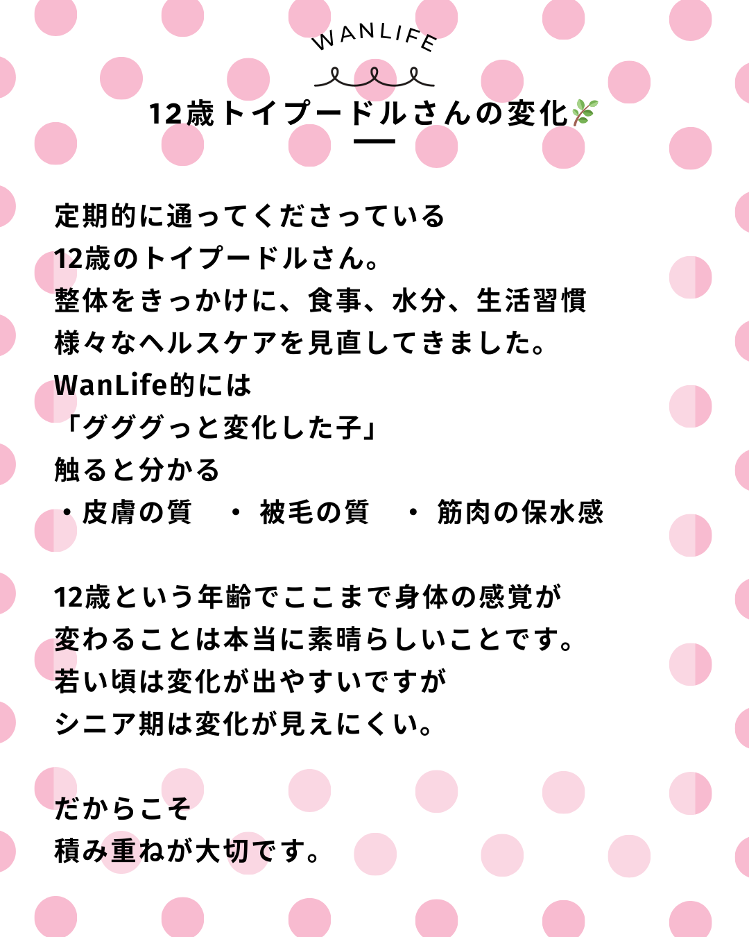 わんわん整体WanLife|愛知・岐阜の犬の整体・メディセル筋膜リリース・オベロンアニマルスキャン・ネオヒーラー・温灸・食事療法|