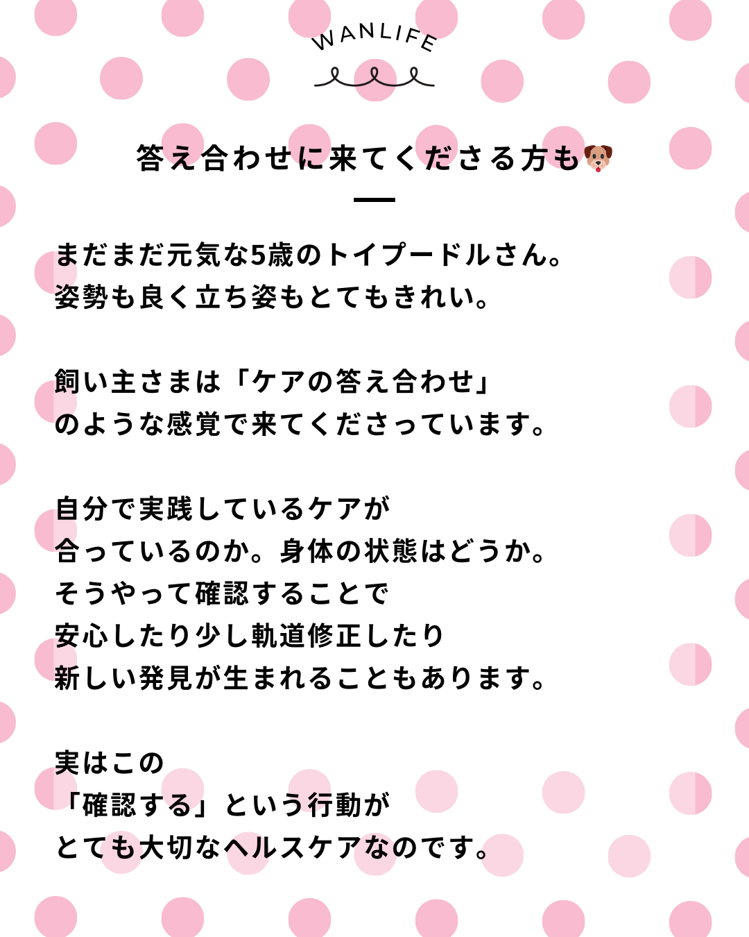 わんわん整体WanLife|愛知・岐阜の犬の整体・メディセル筋膜リリース・オベロンアニマルスキャン・ネオヒーラー・温灸・食事療法|