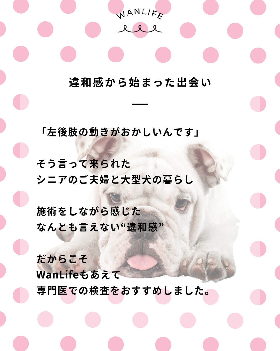 わんわん整体WanLife｜愛知・岐阜の犬の整体・メディセル筋膜リリース・オベロンアニマルスキャン・ネオヒーラー・温灸・食事療法｜