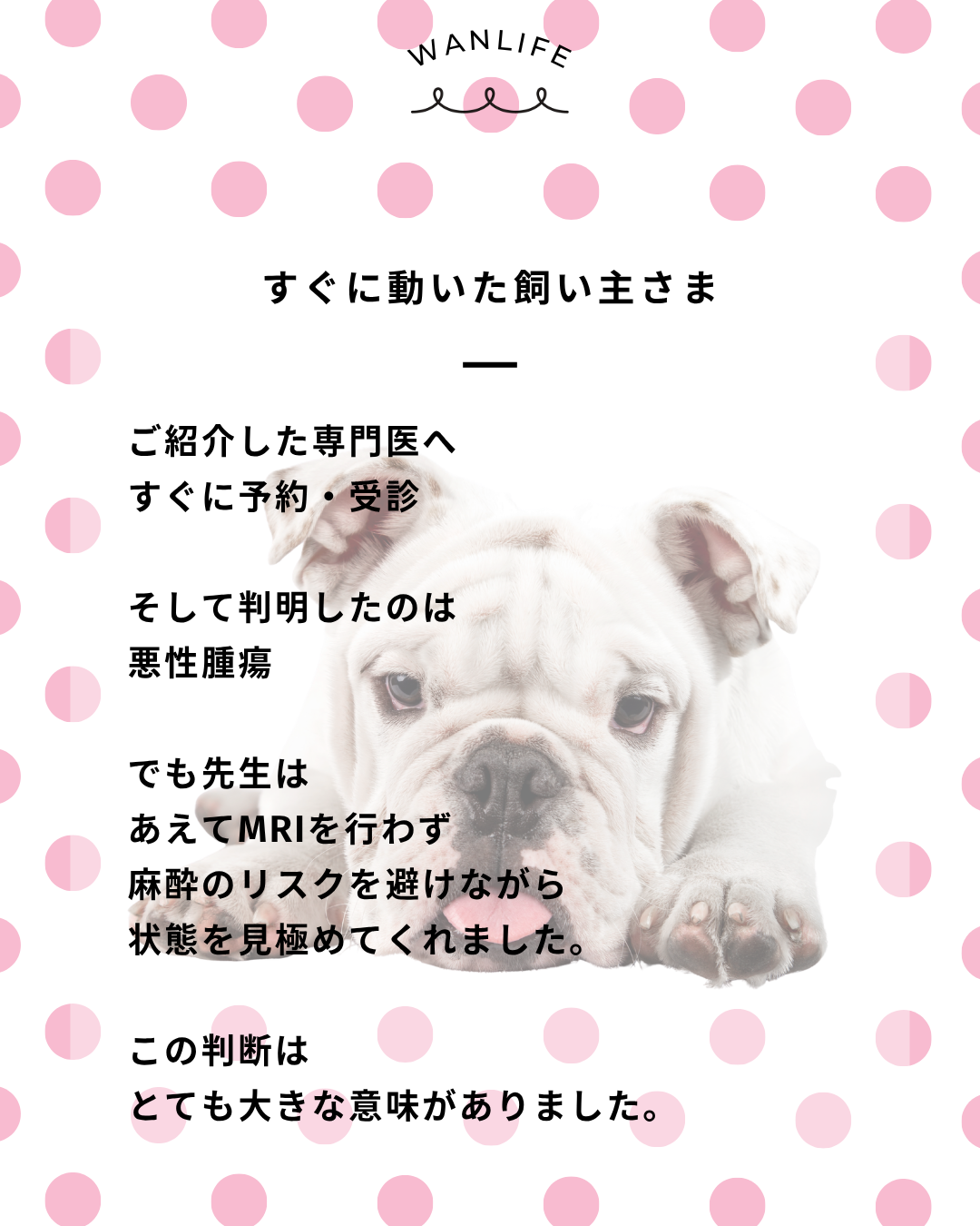 わんわん整体WanLife｜愛知・岐阜の犬の整体・メディセル筋膜リリース・オベロンアニマルスキャン・ネオヒーラー・温灸・食事療法｜