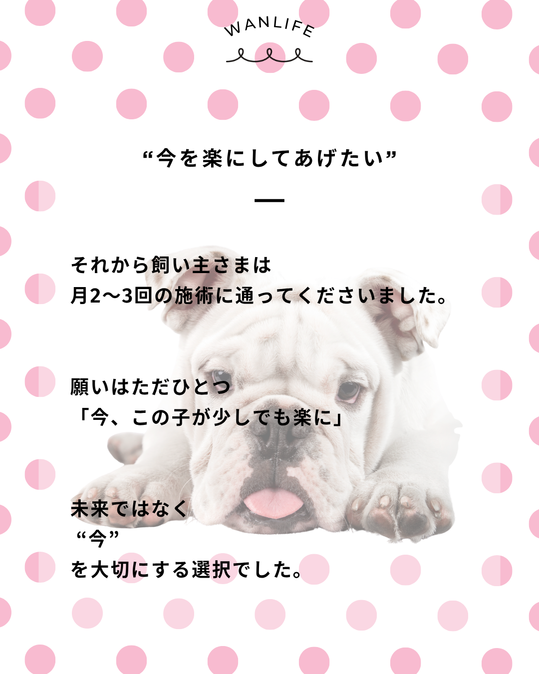 わんわん整体WanLife｜愛知・岐阜の犬の整体・メディセル筋膜リリース・オベロンアニマルスキャン・ネオヒーラー・温灸・食事療法｜