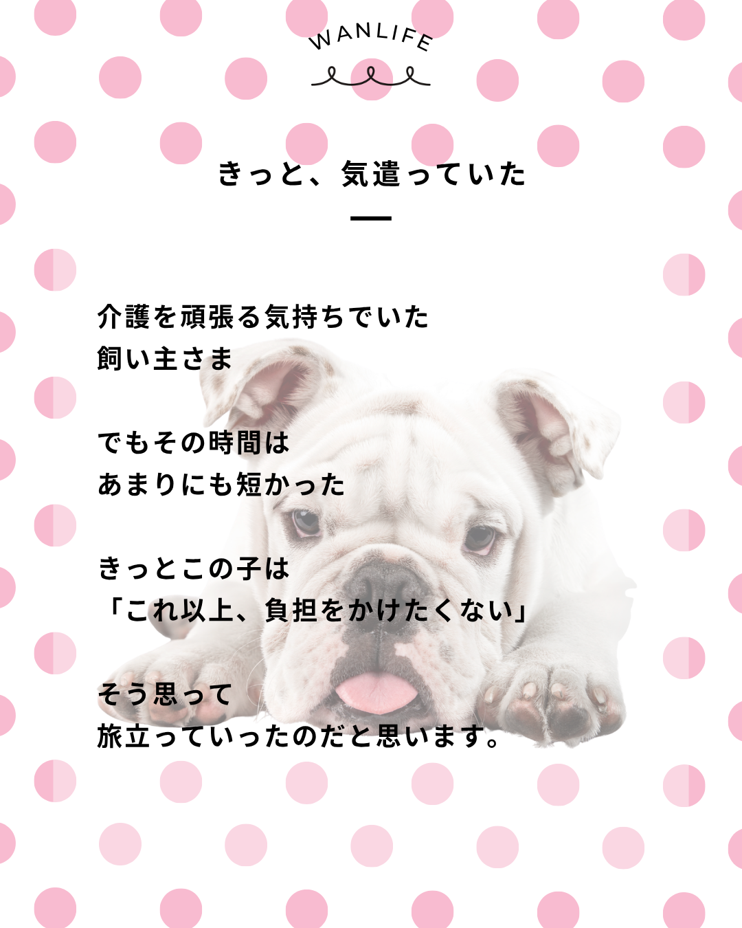 わんわん整体WanLife｜愛知・岐阜の犬の整体・メディセル筋膜リリース・オベロンアニマルスキャン・ネオヒーラー・温灸・食事療法｜