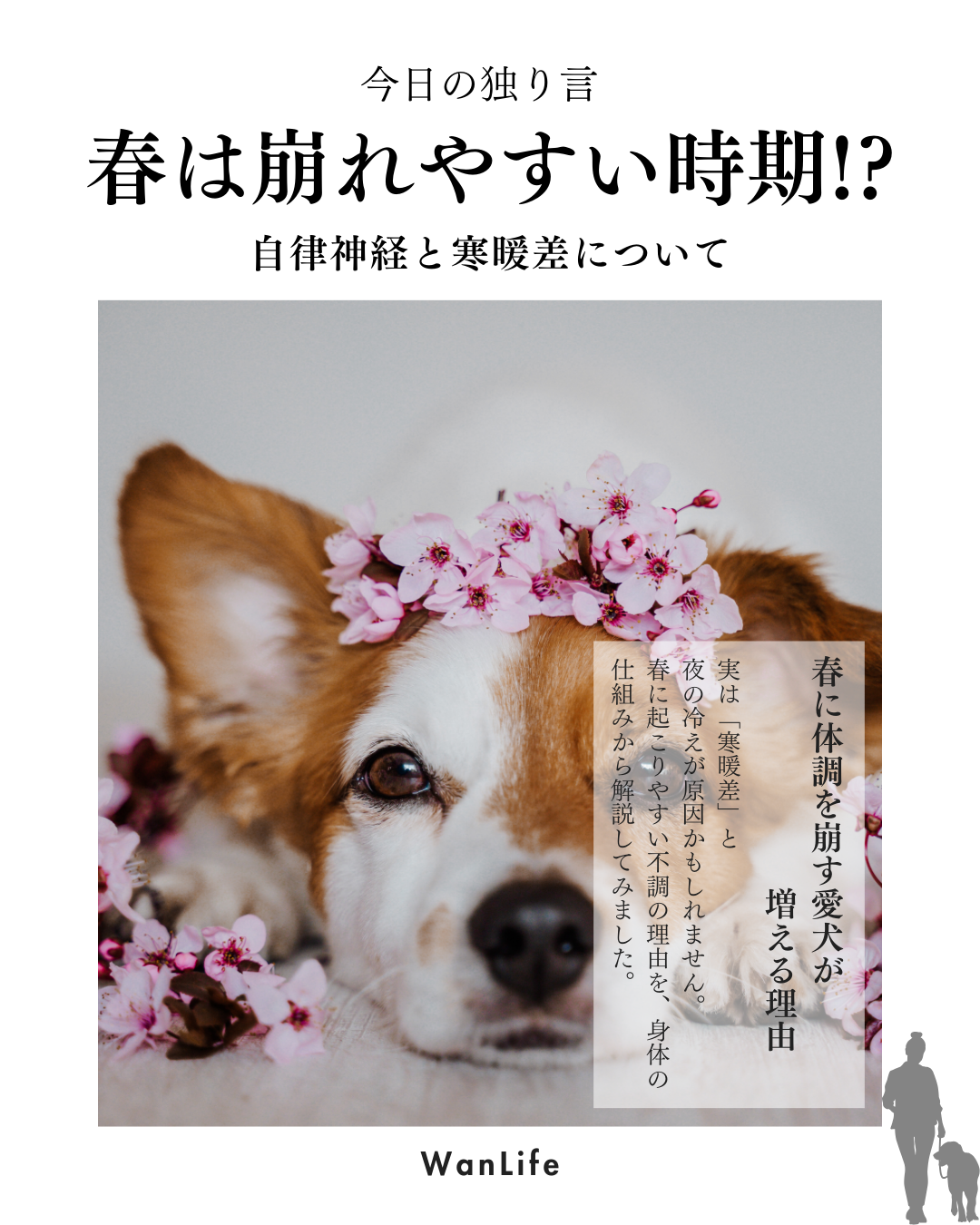 わんわん整体WanLife｜愛知・岐阜の犬の整体・メディセル筋膜リリース・オベロンアニマルスキャン・ネオヒーラー・温灸・食事療法｜