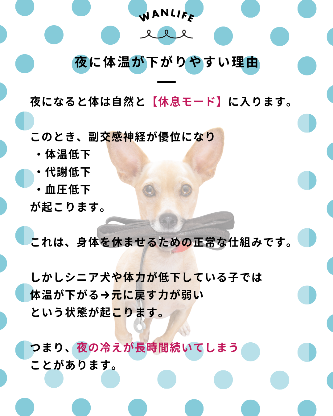 わんわん整体WanLife｜愛知・岐阜の犬の整体・メディセル筋膜リリース・オベロンアニマルスキャン・ネオヒーラー・温灸・食事療法｜