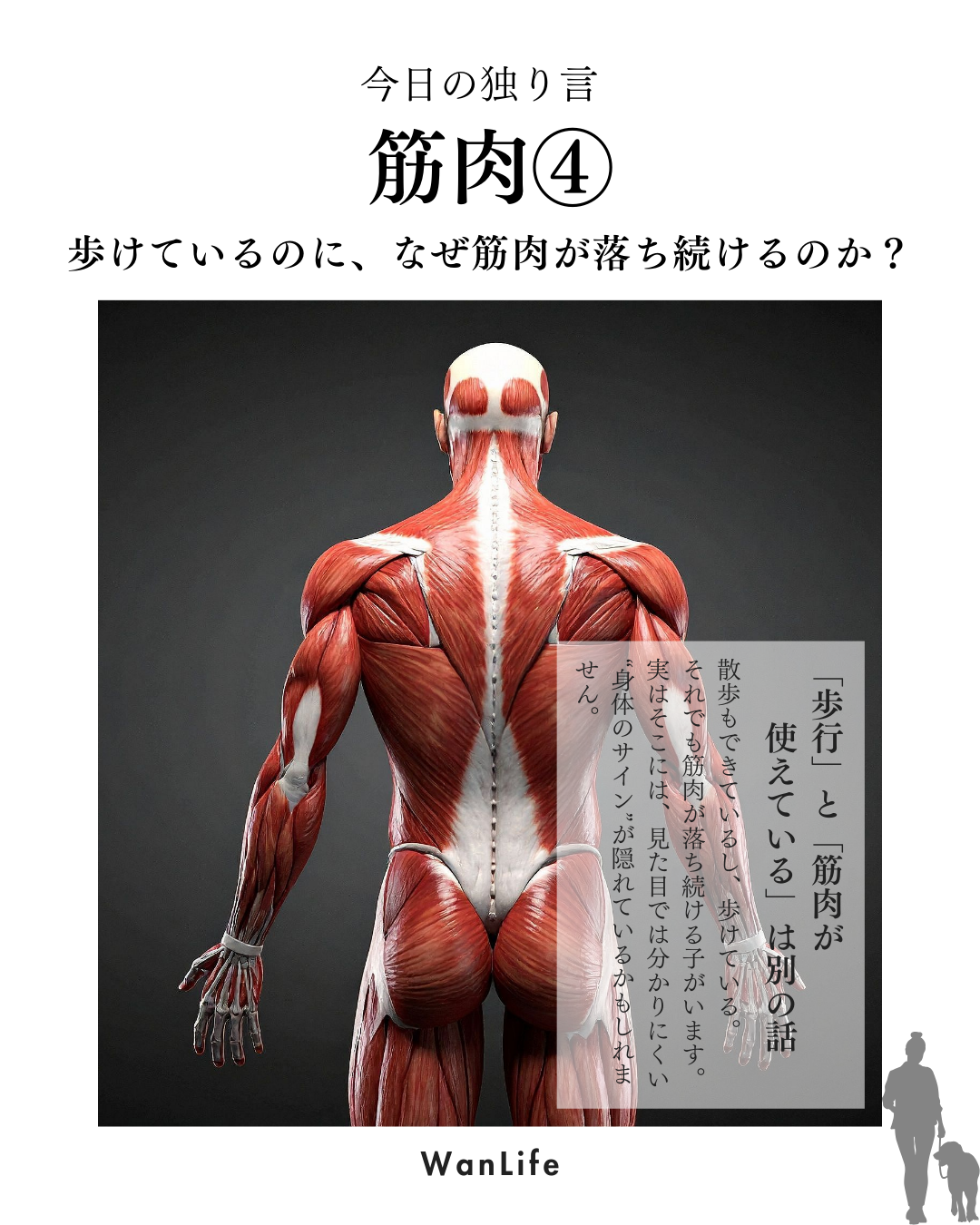 わんわん整体WanLife｜愛知・岐阜の犬の整体・メディセル筋膜リリース・歩けるくん・オベロンアニマルスキャン・ネオヒーラー・温灸・食事療法｜