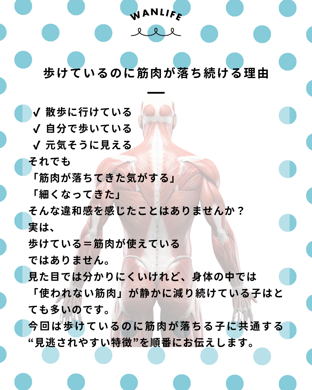 わんわん整体WanLife｜愛知・岐阜の犬の整体・メディセル筋膜リリース・歩けるくん・オベロンアニマルスキャン・ネオヒーラー・温灸・食事療法｜