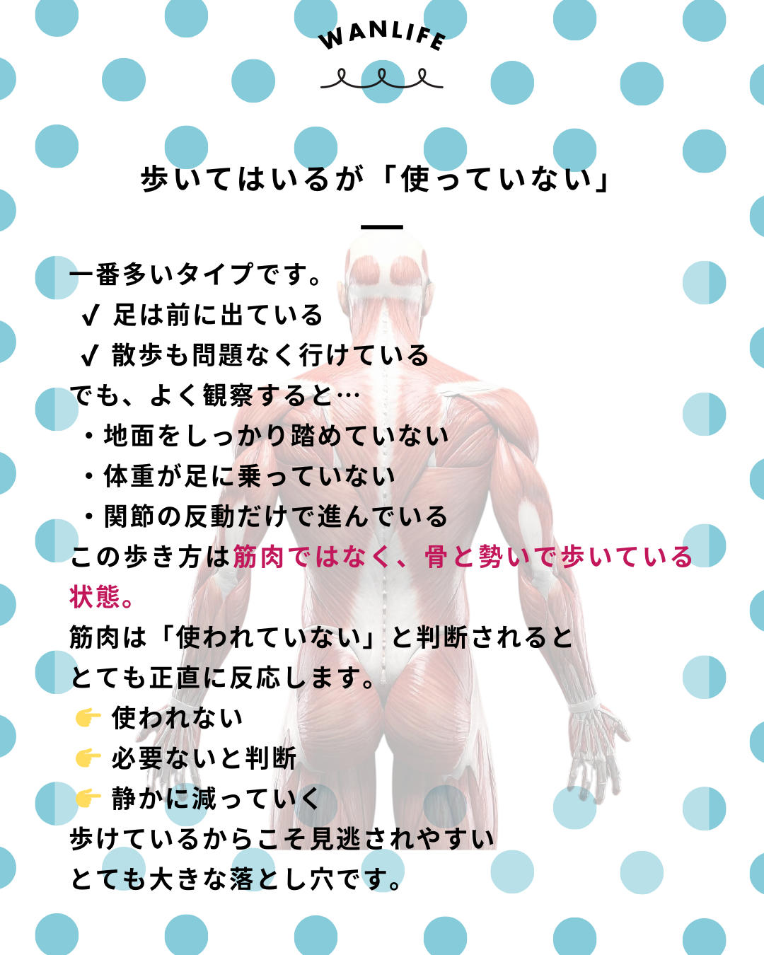 わんわん整体WanLife｜愛知・岐阜の犬の整体・メディセル筋膜リリース・歩けるくん・オベロンアニマルスキャン・ネオヒーラー・温灸・食事療法｜