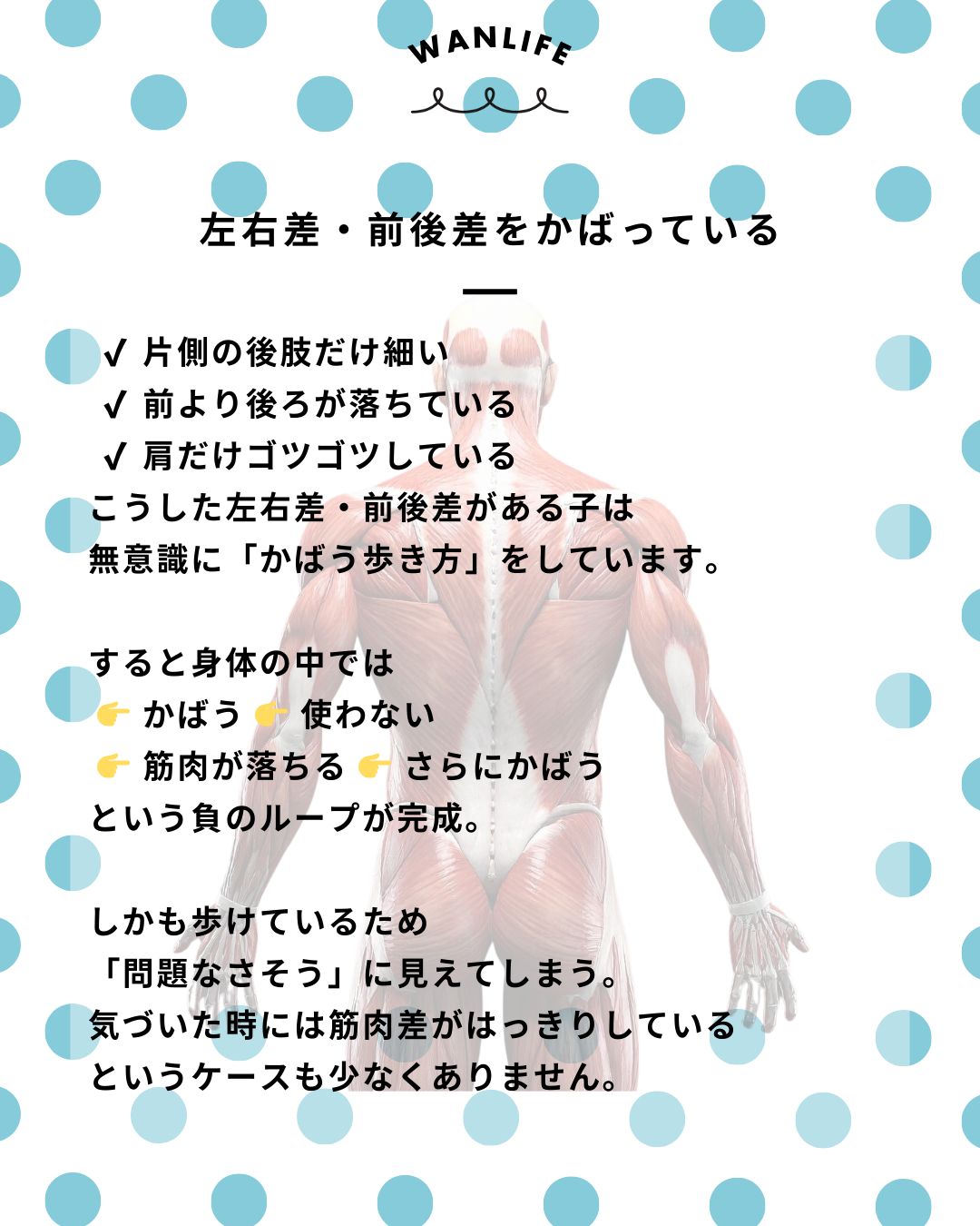 わんわん整体WanLife｜愛知・岐阜の犬の整体・メディセル筋膜リリース・歩けるくん・オベロンアニマルスキャン・ネオヒーラー・温灸・食事療法｜