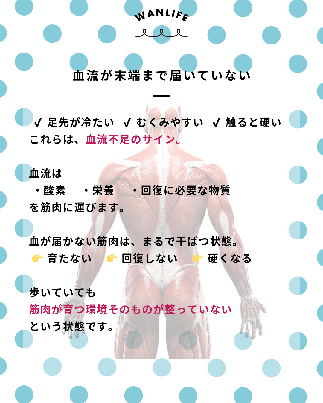 わんわん整体WanLife｜愛知・岐阜の犬の整体・メディセル筋膜リリース・歩けるくん・オベロンアニマルスキャン・ネオヒーラー・温灸・食事療法｜