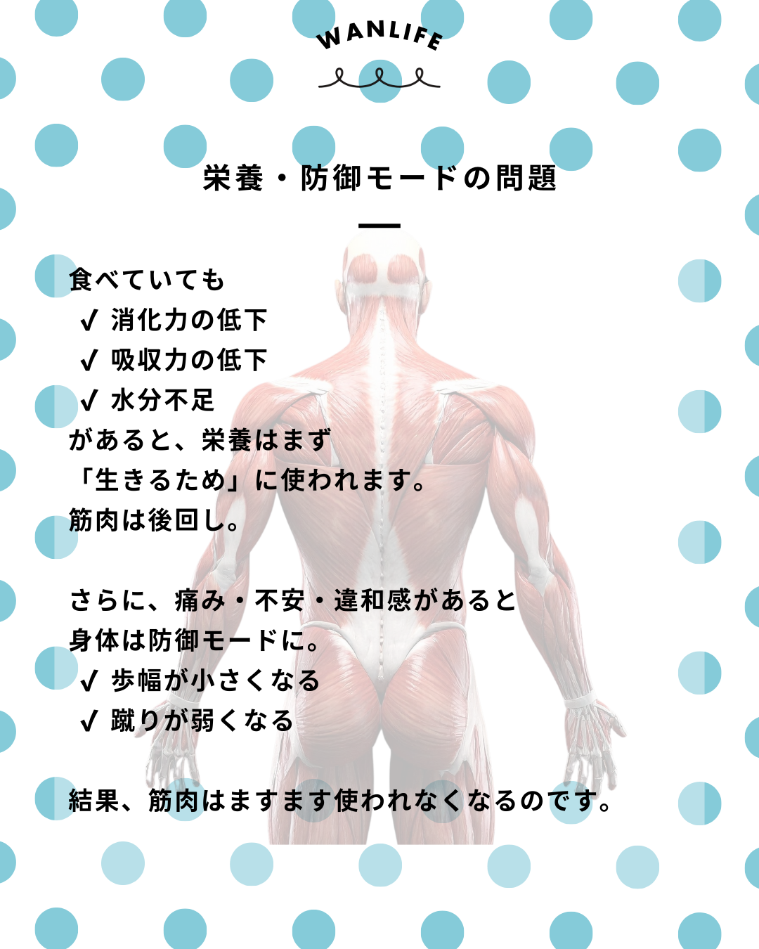 わんわん整体WanLife｜愛知・岐阜の犬の整体・メディセル筋膜リリース・歩けるくん・オベロンアニマルスキャン・ネオヒーラー・温灸・食事療法｜