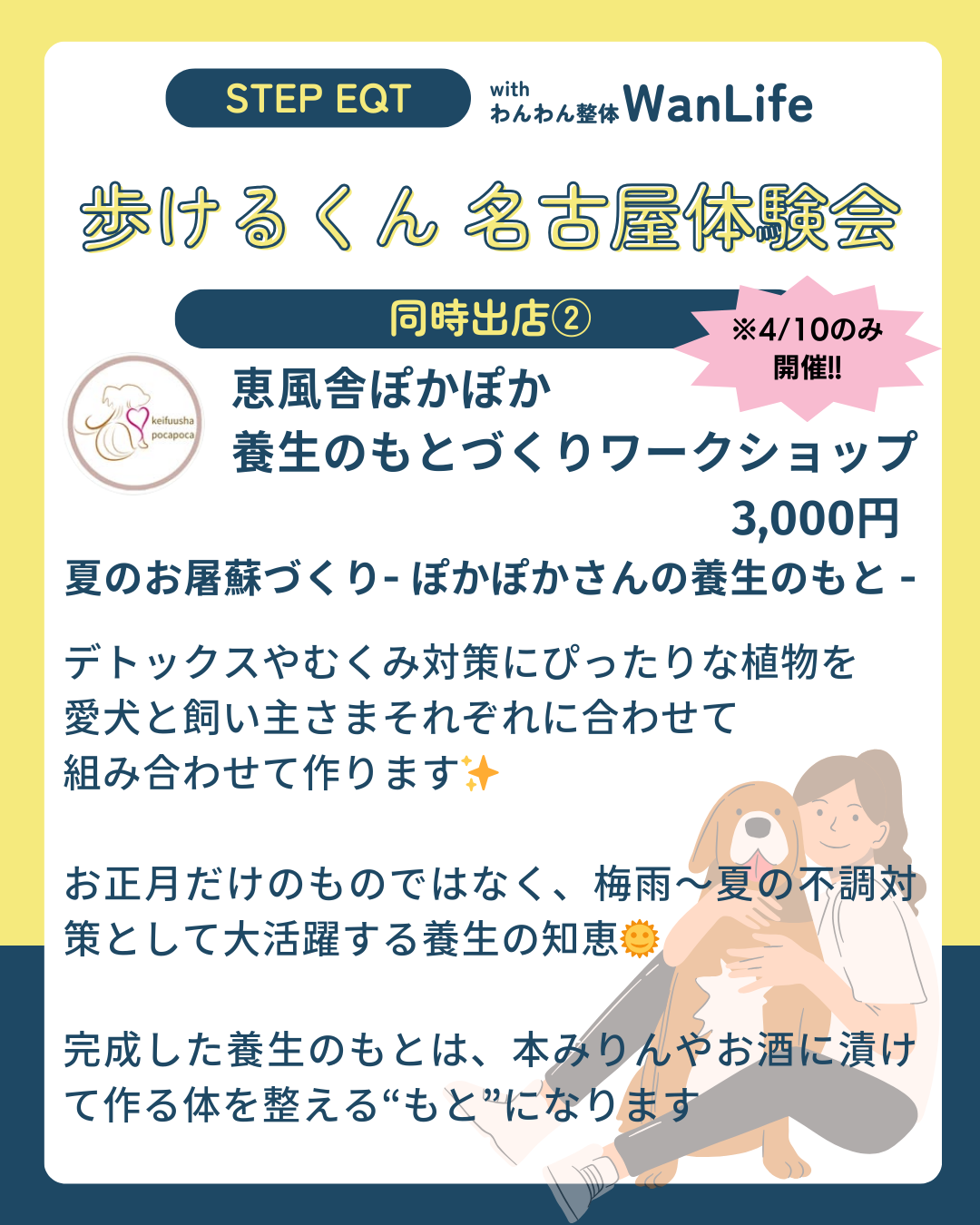 わんわん整体WanLife｜愛知・岐阜の犬の整体・メディセル筋膜リリース・オベロンアニマルスキャン・ネオヒーラー・温灸・食事療法｜