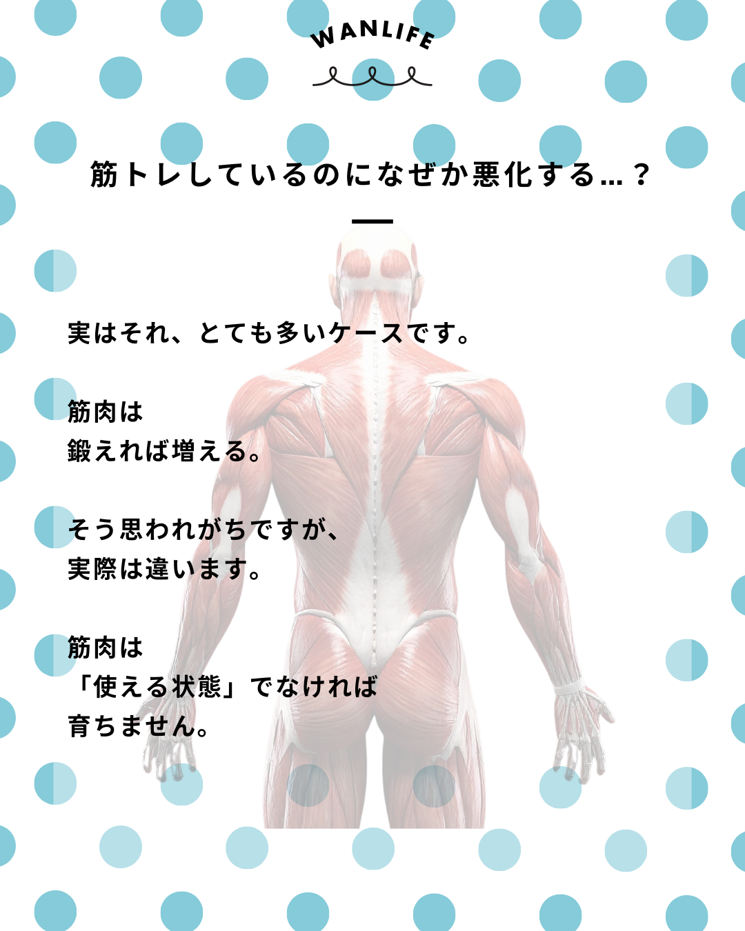 わんわん整体WanLife｜愛知・岐阜の犬の整体・メディセル筋膜リリース・歩けるくん・オベロンアニマルスキャン・ネオヒーラー・温灸・食事療法｜