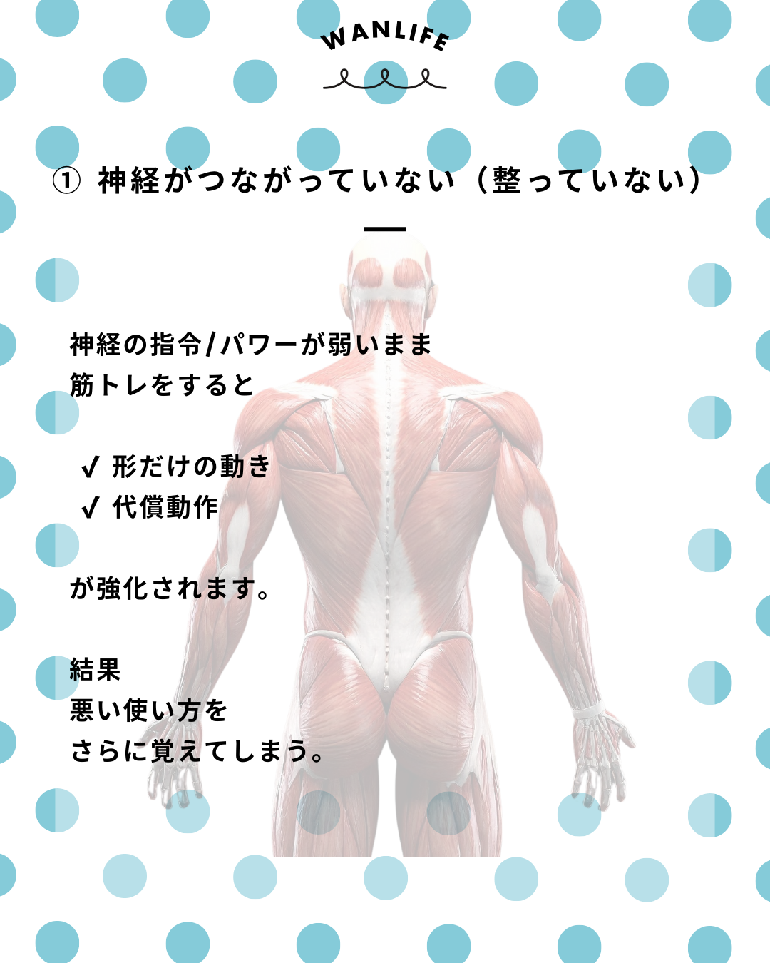 わんわん整体WanLife｜愛知・岐阜の犬の整体・メディセル筋膜リリース・歩けるくん・オベロンアニマルスキャン・ネオヒーラー・温灸・食事療法｜