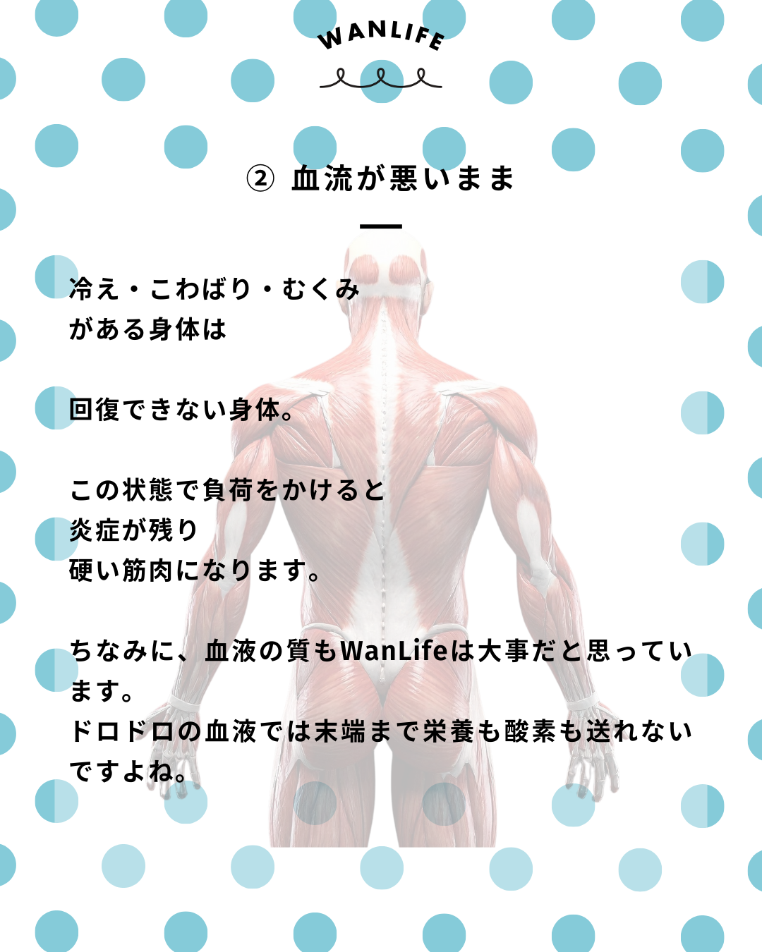 わんわん整体WanLife｜愛知・岐阜の犬の整体・メディセル筋膜リリース・歩けるくん・オベロンアニマルスキャン・ネオヒーラー・温灸・食事療法｜
