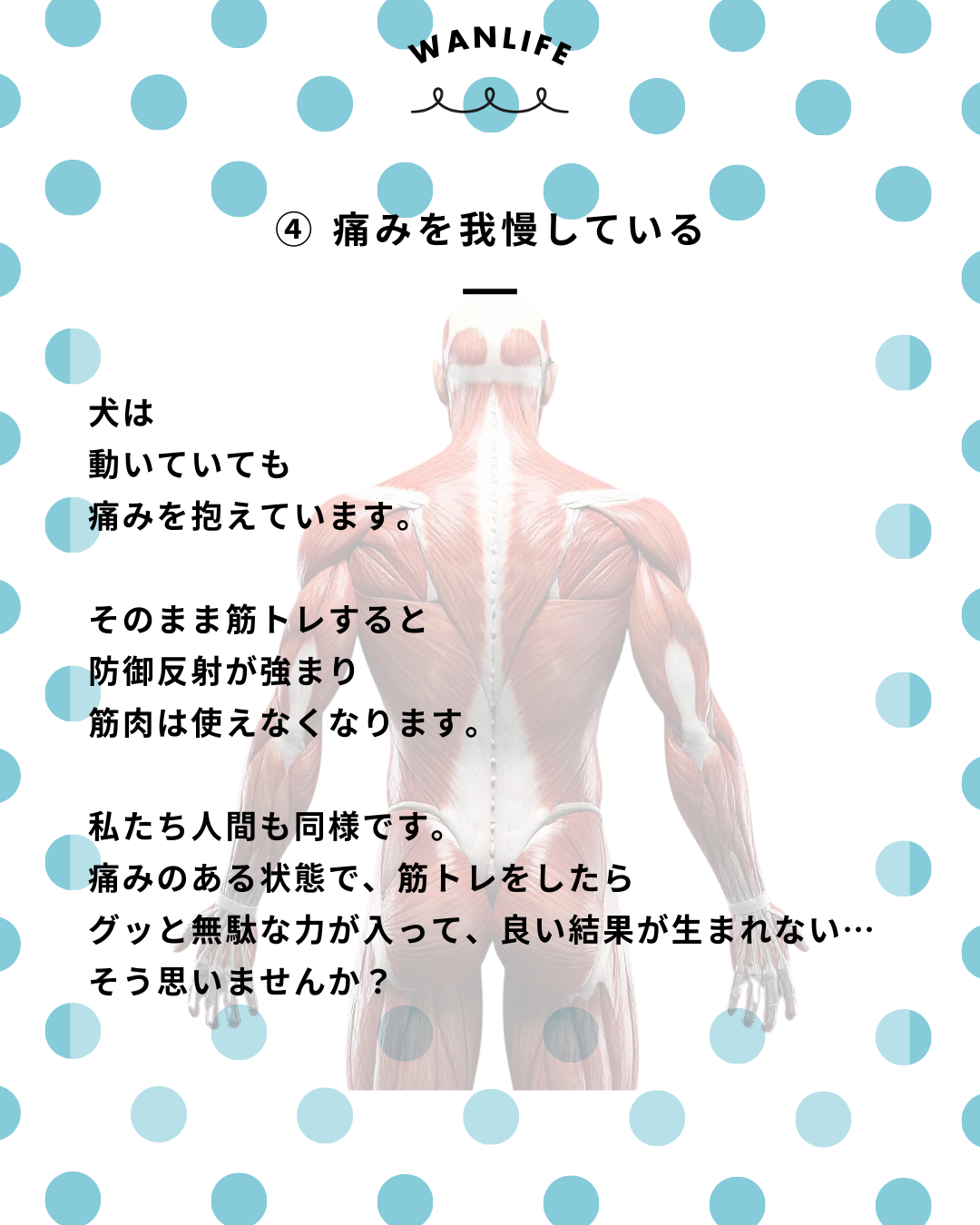わんわん整体WanLife｜愛知・岐阜の犬の整体・メディセル筋膜リリース・歩けるくん・オベロンアニマルスキャン・ネオヒーラー・温灸・食事療法｜