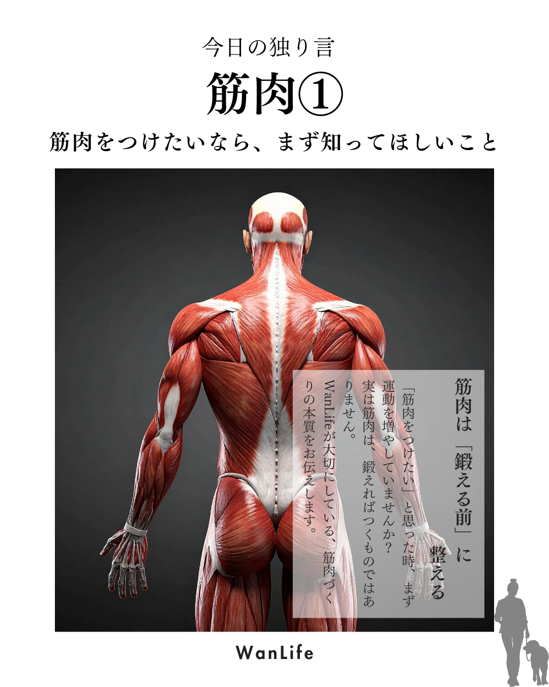 わんわん整体WanLife｜愛知・岐阜の犬の整体・メディセル筋膜リリース・歩けるくん・オベロンアニマルスキャン・ネオヒーラー・温灸・食事療法｜