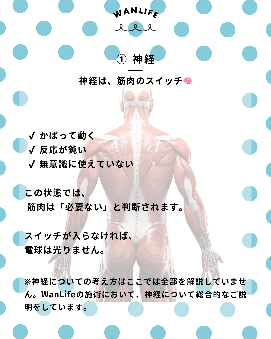 わんわん整体WanLife|愛知・岐阜の犬の整体・メディセル筋膜リリース・歩けるくん・オベロンアニマルスキャン・ネオヒーラー・温灸・食事療法|