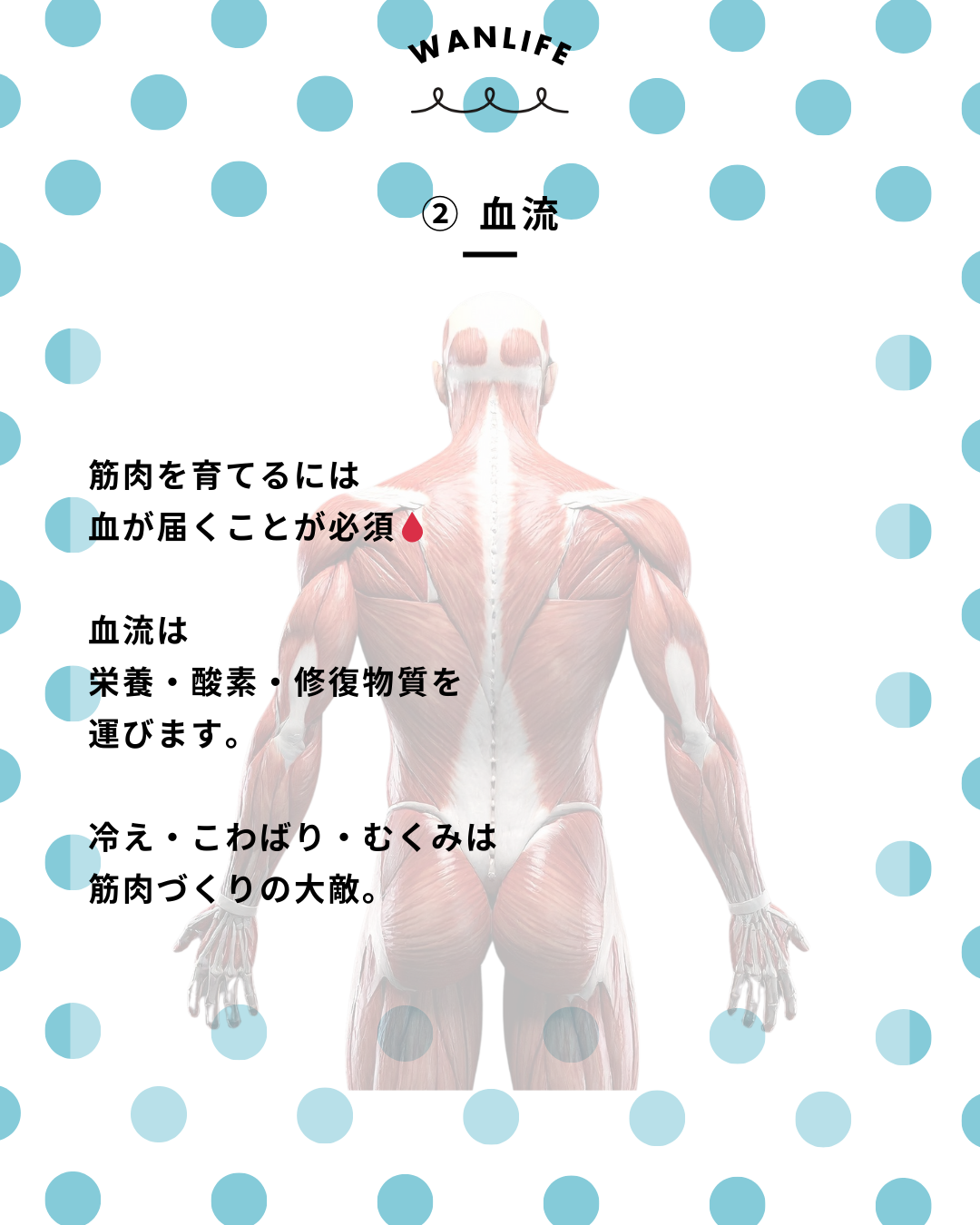 わんわん整体WanLife|愛知・岐阜の犬の整体・メディセル筋膜リリース・歩けるくん・オベロンアニマルスキャン・ネオヒーラー・温灸・食事療法|