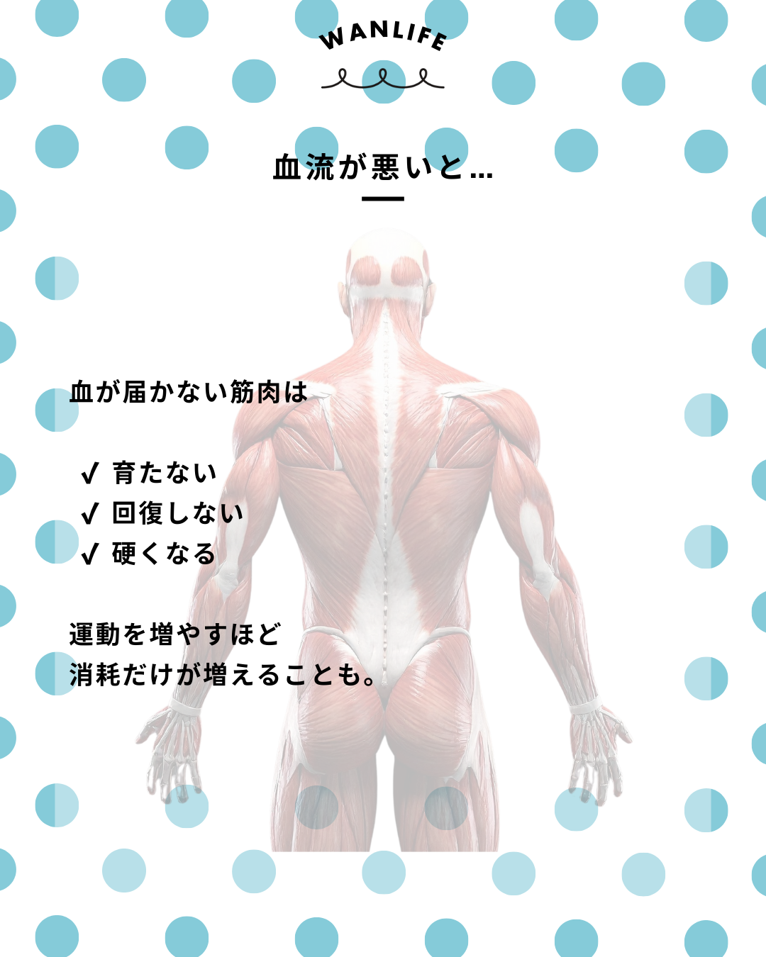 わんわん整体WanLife|愛知・岐阜の犬の整体・メディセル筋膜リリース・歩けるくん・オベロンアニマルスキャン・ネオヒーラー・温灸・食事療法|