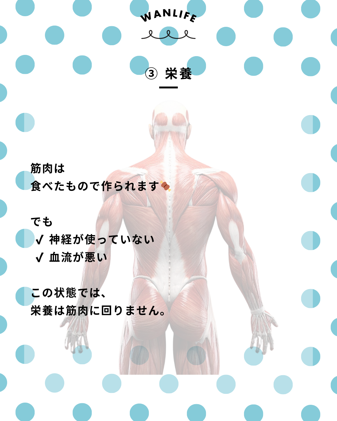 わんわん整体WanLife|愛知・岐阜の犬の整体・メディセル筋膜リリース・歩けるくん・オベロンアニマルスキャン・ネオヒーラー・温灸・食事療法|