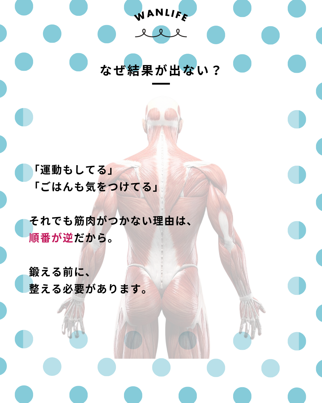 わんわん整体WanLife|愛知・岐阜の犬の整体・メディセル筋膜リリース・歩けるくん・オベロンアニマルスキャン・ネオヒーラー・温灸・食事療法|