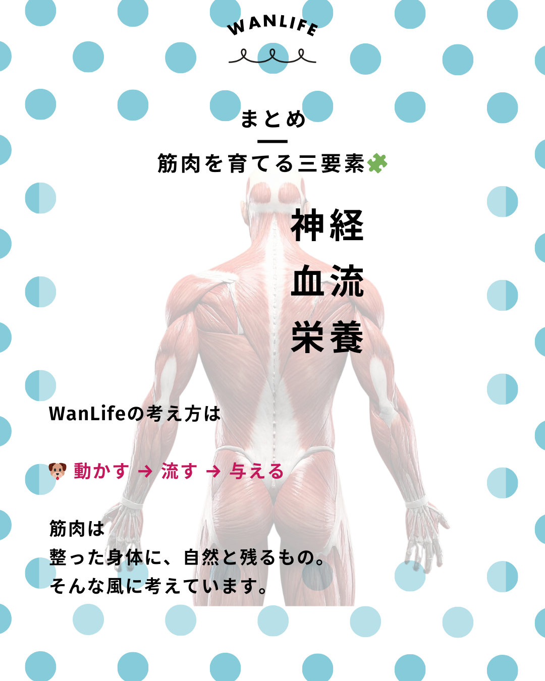 わんわん整体WanLife|愛知・岐阜の犬の整体・メディセル筋膜リリース・歩けるくん・オベロンアニマルスキャン・ネオヒーラー・温灸・食事療法|