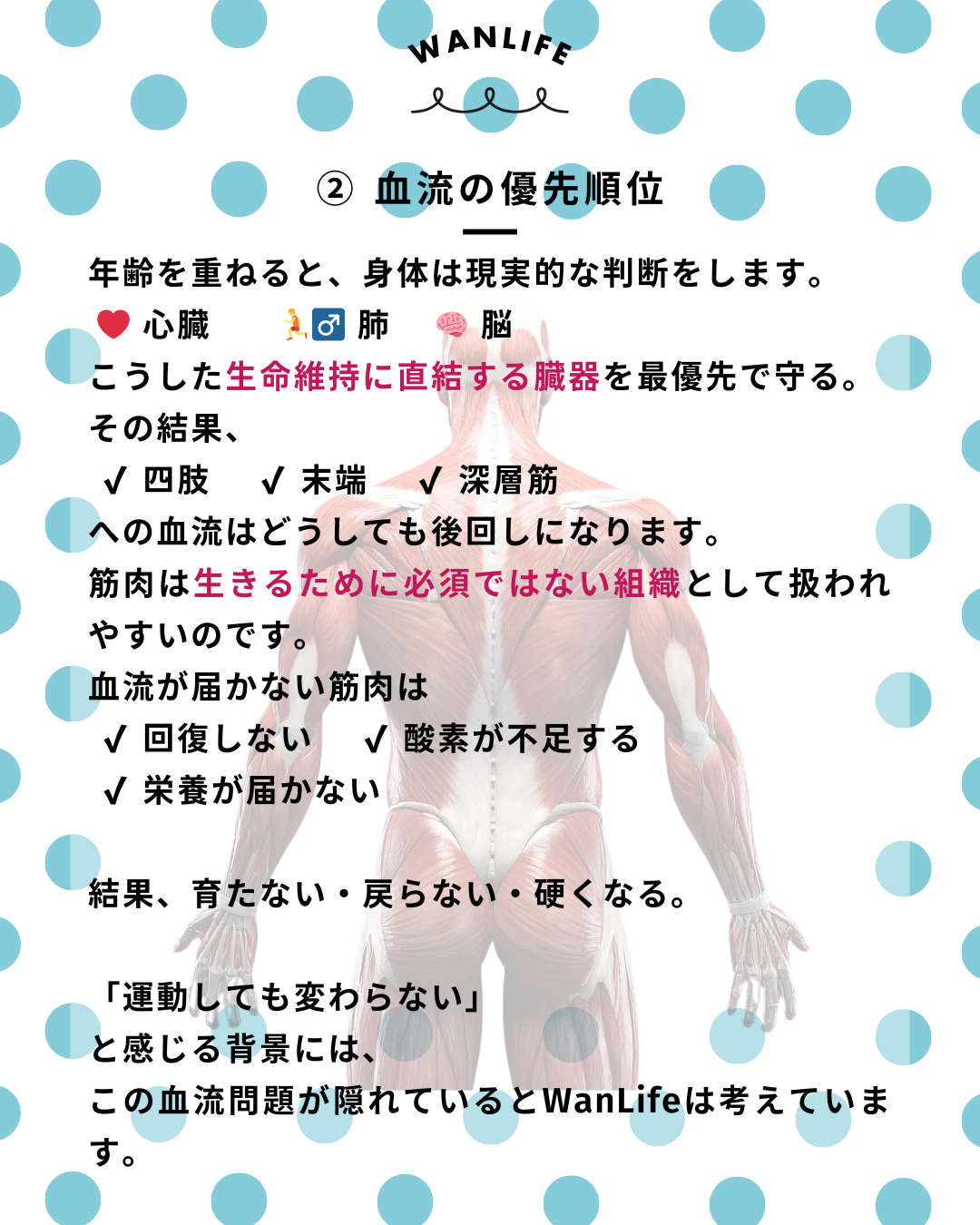 わんわん整体WanLife｜愛知・岐阜の犬の整体・メディセル筋膜リリース・歩けるくん・オベロンアニマルスキャン・ネオヒーラー・温灸・食事療法｜