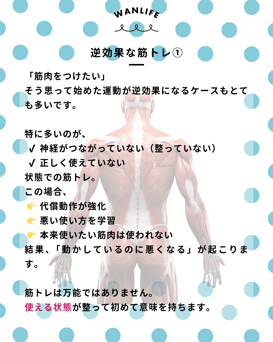 わんわん整体WanLife｜愛知・岐阜の犬の整体・メディセル筋膜リリース・歩けるくん・オベロンアニマルスキャン・ネオヒーラー・温灸・食事療法｜