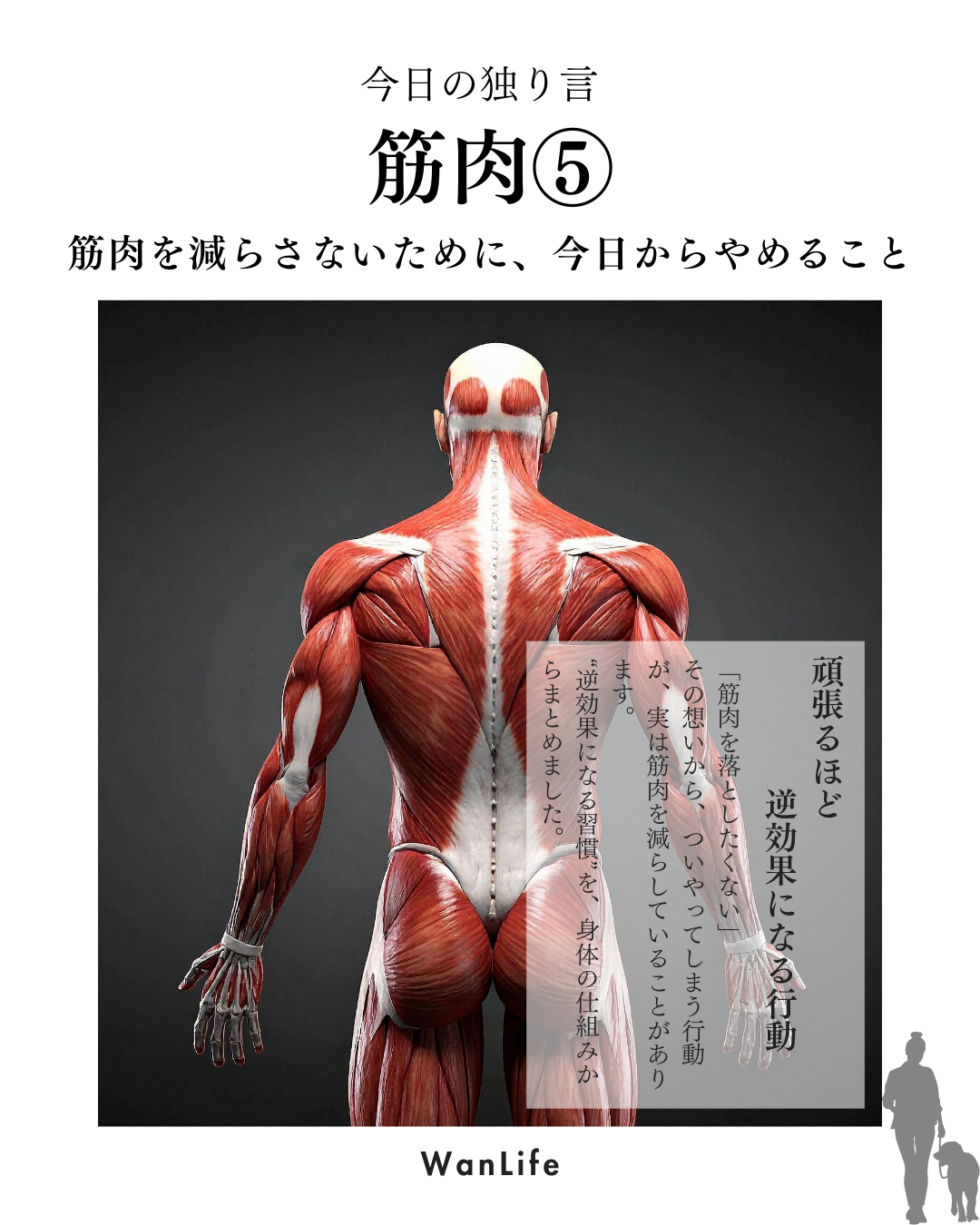 わんわん整体WanLife｜愛知・岐阜の犬の整体・メディセル筋膜リリース・歩けるくん・オベロンアニマルスキャン・ネオヒーラー・温灸・食事療法｜