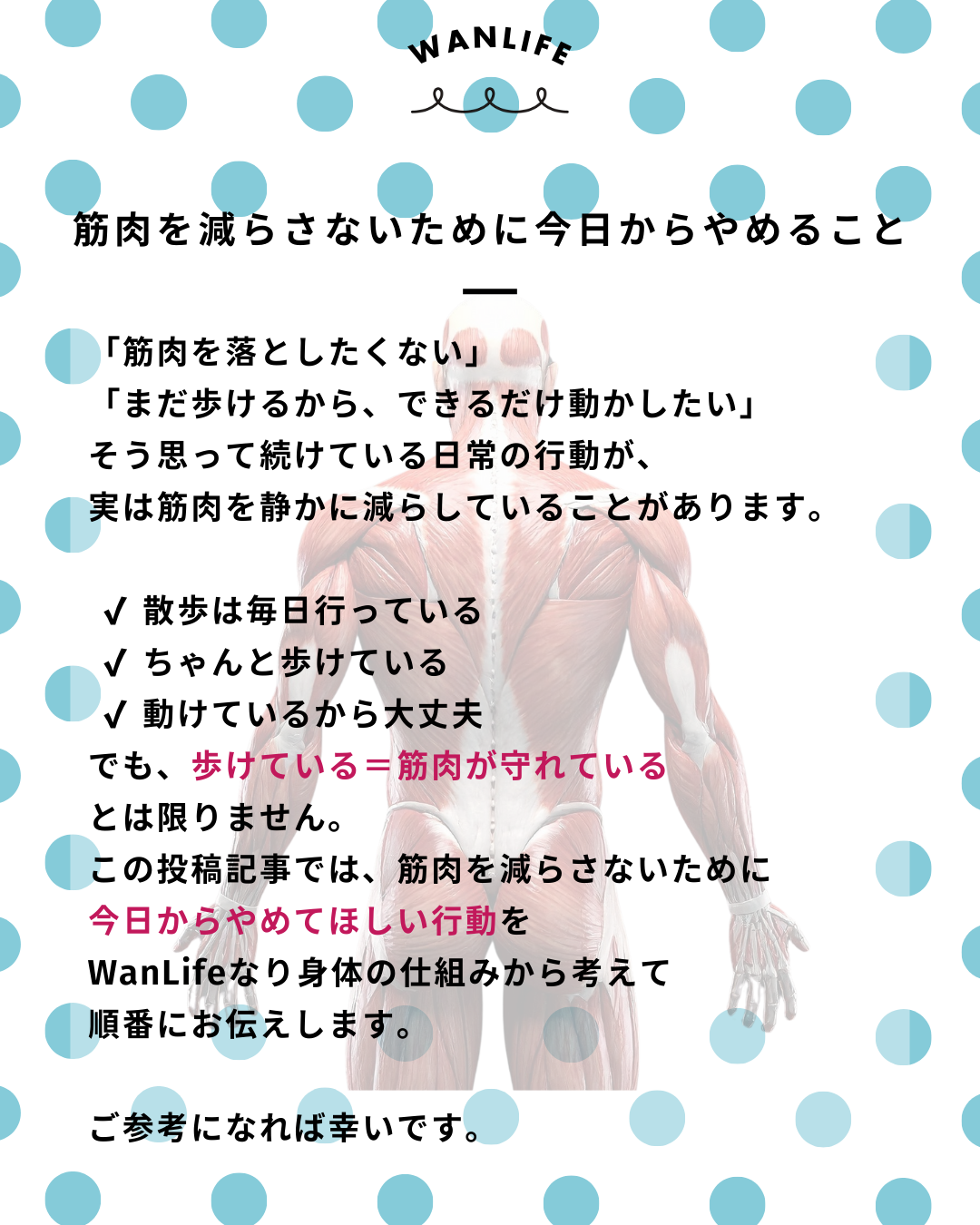 わんわん整体WanLife|愛知・岐阜の犬の整体・メディセル筋膜リリース・歩けるくん・オベロンアニマルスキャン・ネオヒーラー・温灸・食事療法|