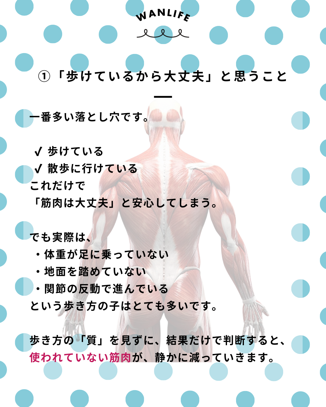 わんわん整体WanLife|愛知・岐阜の犬の整体・メディセル筋膜リリース・歩けるくん・オベロンアニマルスキャン・ネオヒーラー・温灸・食事療法|