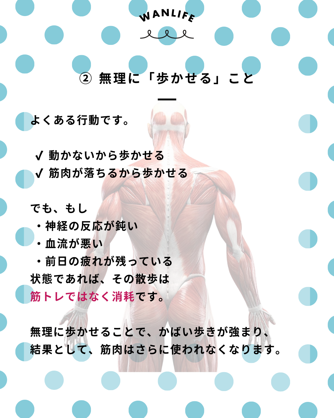 わんわん整体WanLife|愛知・岐阜の犬の整体・メディセル筋膜リリース・歩けるくん・オベロンアニマルスキャン・ネオヒーラー・温灸・食事療法|