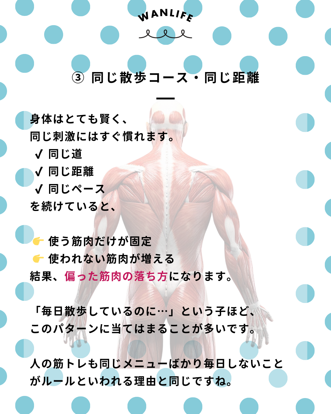 わんわん整体WanLife|愛知・岐阜の犬の整体・メディセル筋膜リリース・歩けるくん・オベロンアニマルスキャン・ネオヒーラー・温灸・食事療法|