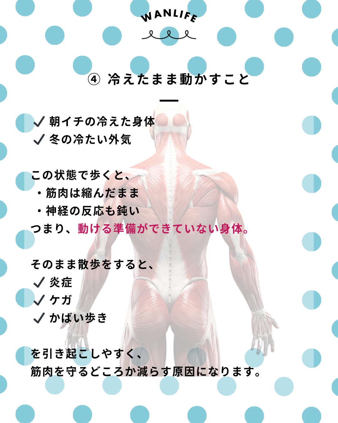 わんわん整体WanLife|愛知・岐阜の犬の整体・メディセル筋膜リリース・歩けるくん・オベロンアニマルスキャン・ネオヒーラー・温灸・食事療法|