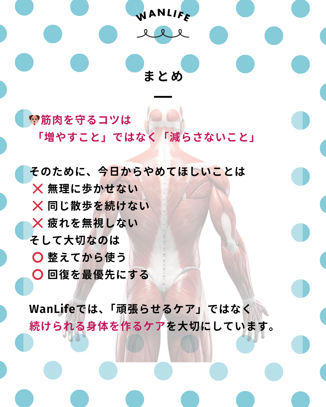 わんわん整体WanLife|愛知・岐阜の犬の整体・メディセル筋膜リリース・歩けるくん・オベロンアニマルスキャン・ネオヒーラー・温灸・食事療法|