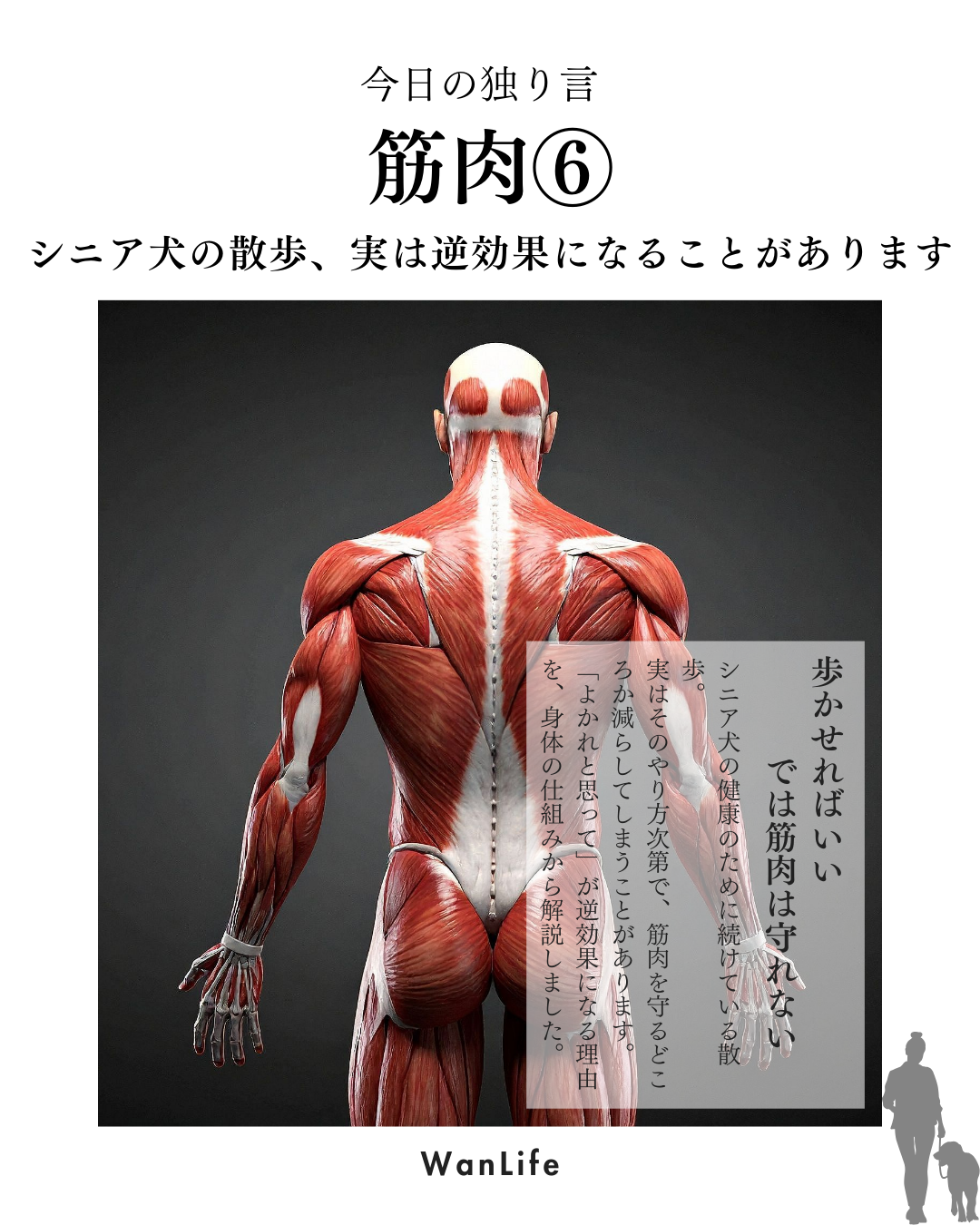 わんわん整体WanLife｜愛知・岐阜の犬の整体・メディセル筋膜リリース・歩けるくん・オベロンアニマルスキャン・ネオヒーラー・温灸・食事療法｜