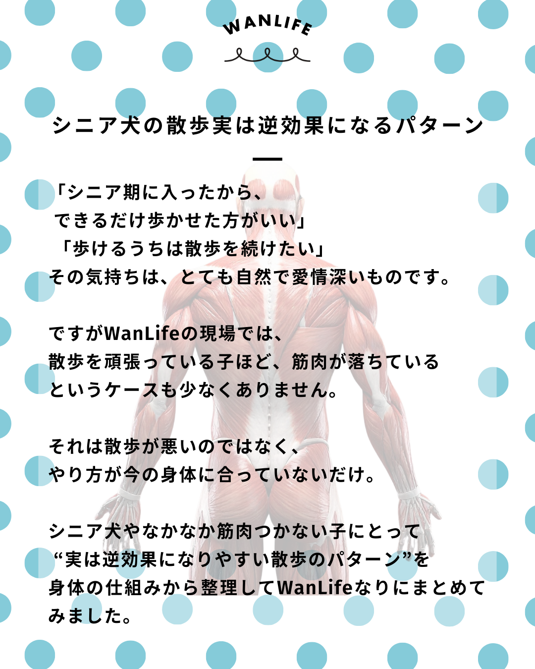 わんわん整体WanLife｜愛知・岐阜の犬の整体・メディセル筋膜リリース・歩けるくん・オベロンアニマルスキャン・ネオヒーラー・温灸・食事療法｜