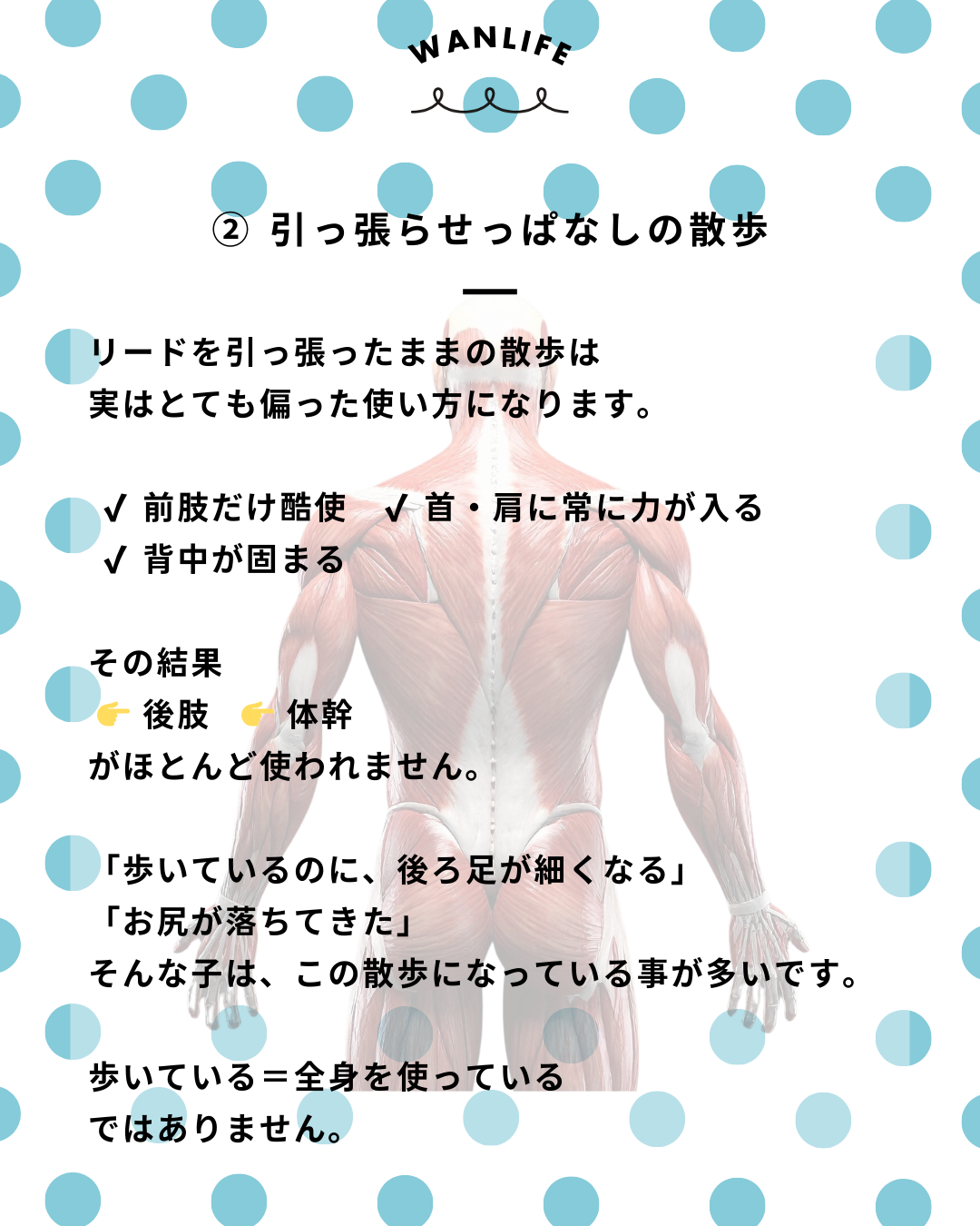 わんわん整体WanLife｜愛知・岐阜の犬の整体・メディセル筋膜リリース・歩けるくん・オベロンアニマルスキャン・ネオヒーラー・温灸・食事療法｜