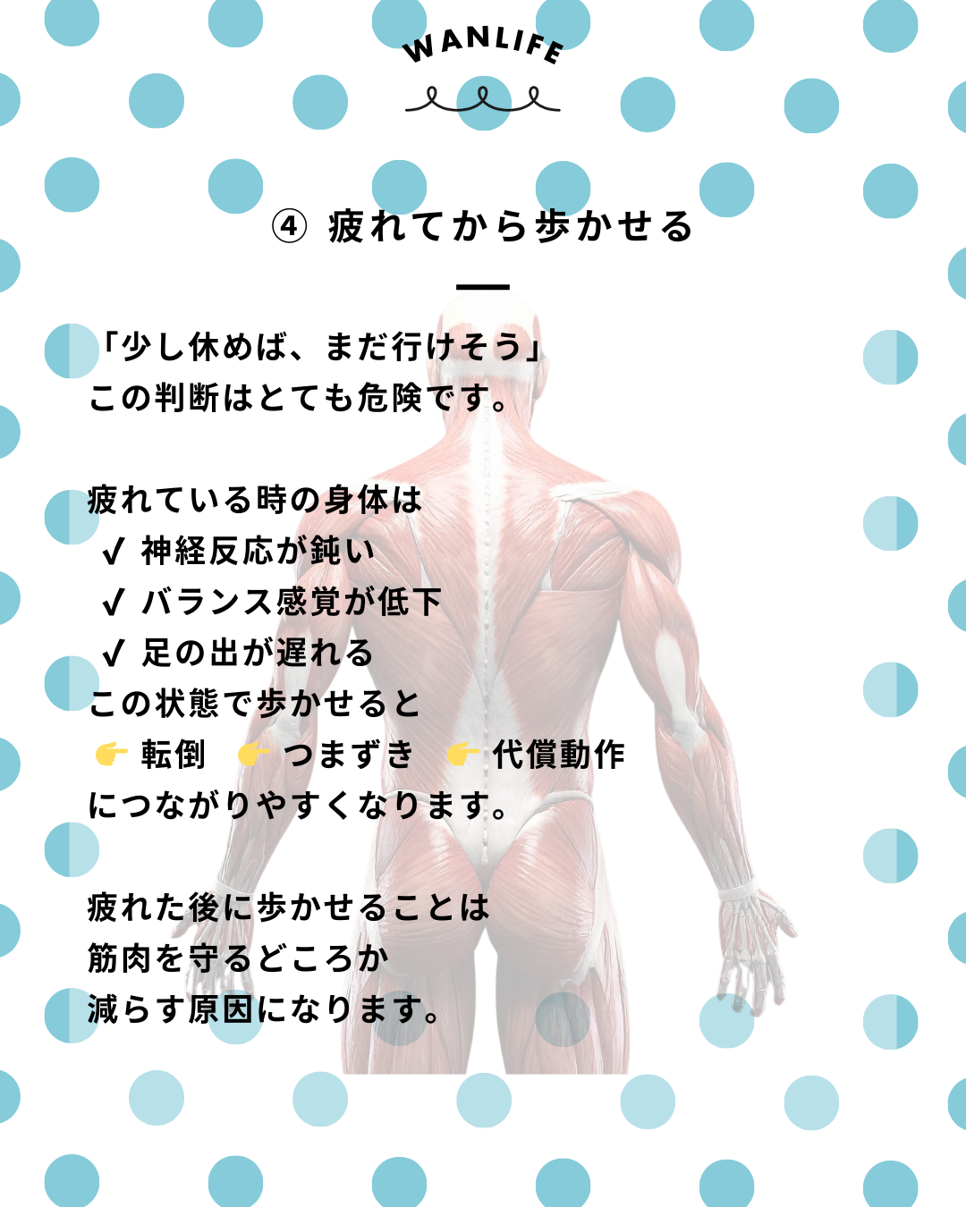 わんわん整体WanLife｜愛知・岐阜の犬の整体・メディセル筋膜リリース・歩けるくん・オベロンアニマルスキャン・ネオヒーラー・温灸・食事療法｜