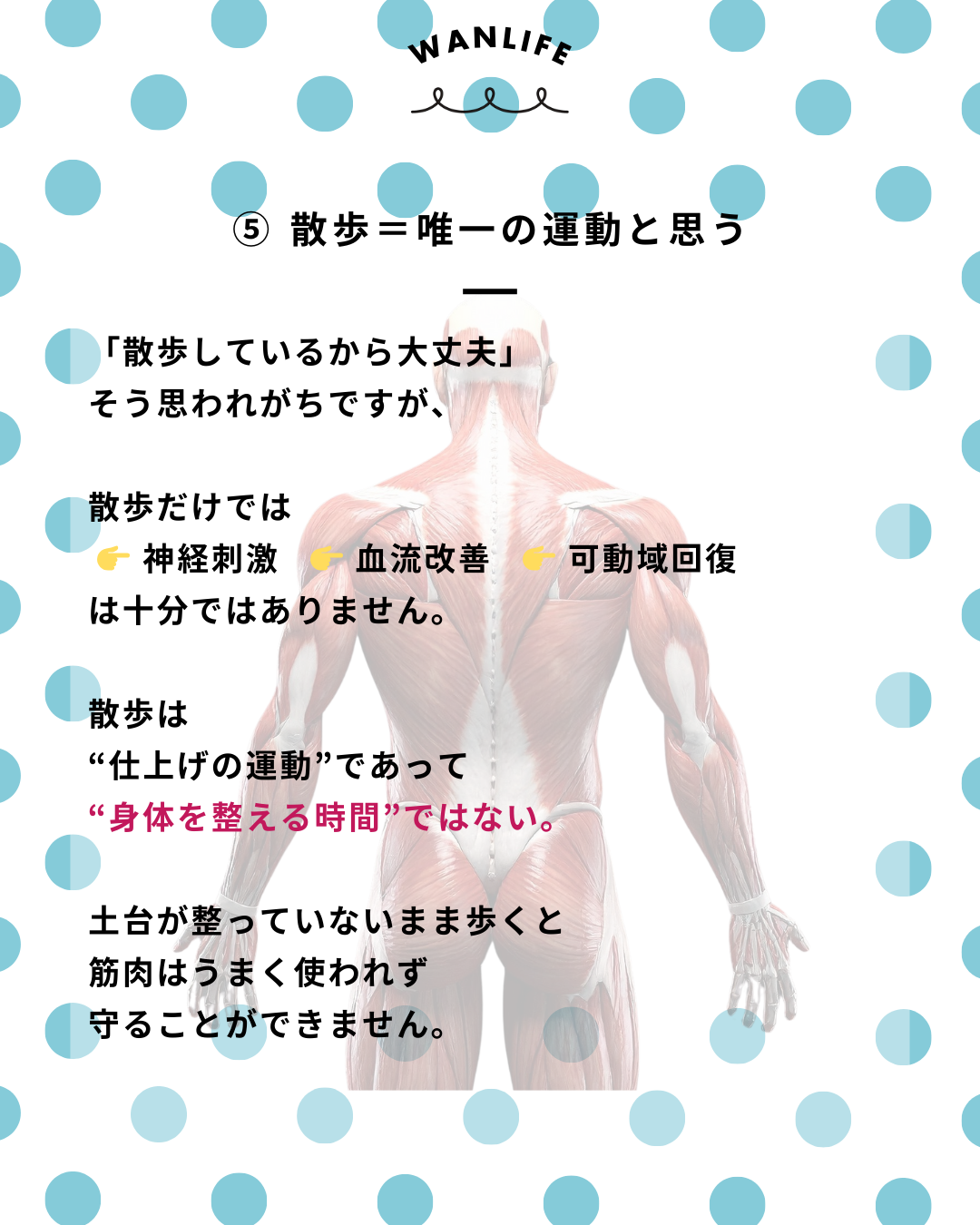 わんわん整体WanLife｜愛知・岐阜の犬の整体・メディセル筋膜リリース・歩けるくん・オベロンアニマルスキャン・ネオヒーラー・温灸・食事療法｜