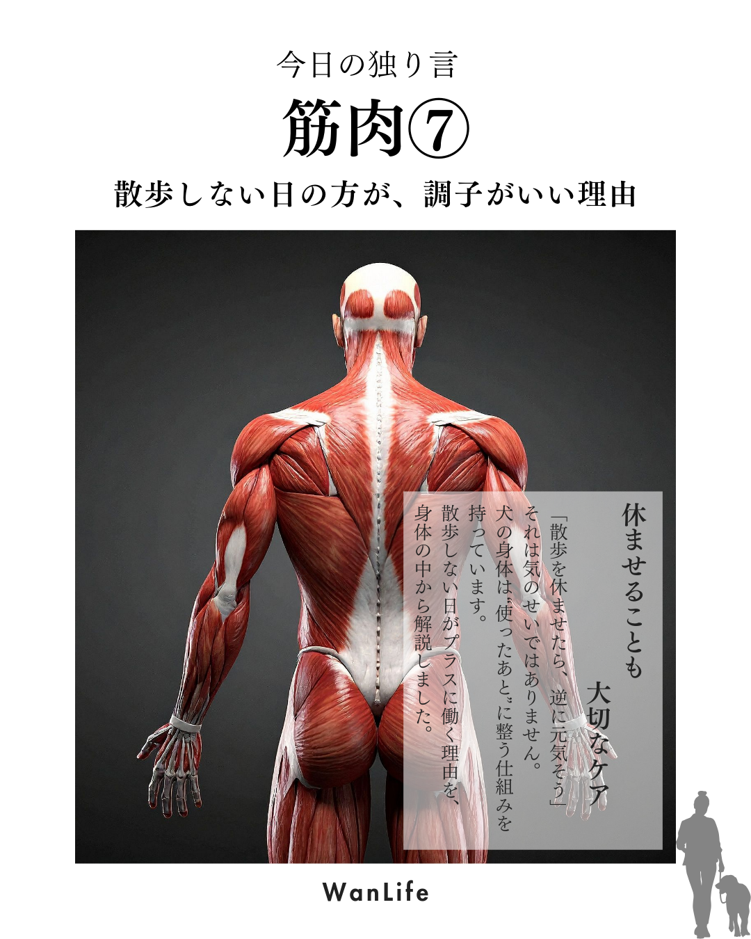 わんわん整体WanLife｜愛知・岐阜の犬の整体・メディセル筋膜リリース・歩けるくん・オベロンアニマルスキャン・ネオヒーラー・温灸・食事療法｜