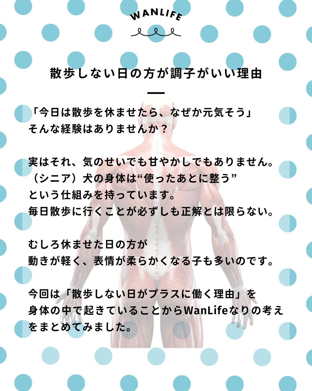 わんわん整体WanLife｜愛知・岐阜の犬の整体・メディセル筋膜リリース・歩けるくん・オベロンアニマルスキャン・ネオヒーラー・温灸・食事療法｜